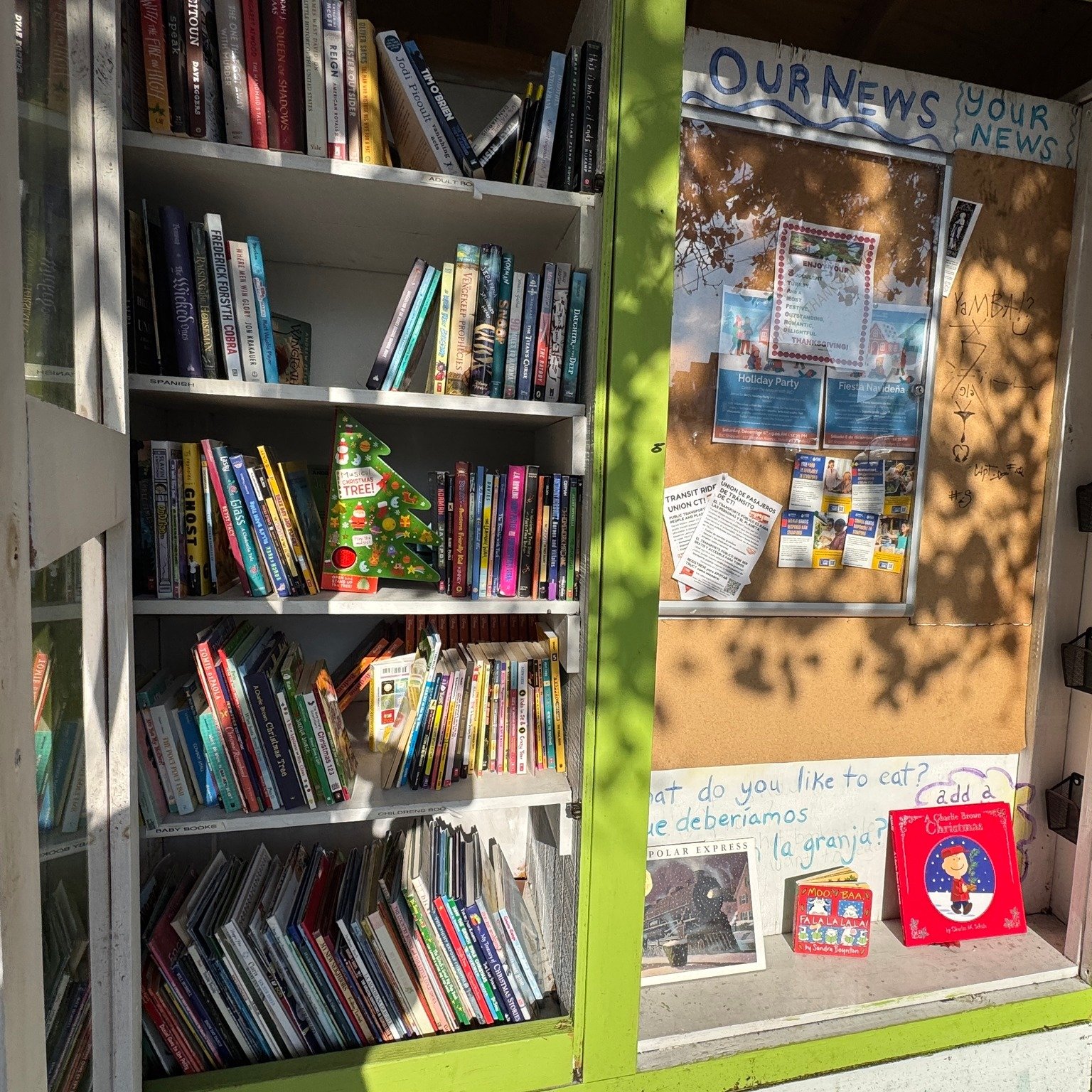 Many thanks to Darien Book Aid for helping us to deck the halls and book cases at Fairgate Farms, Yerwood, Inspirica and Domus.