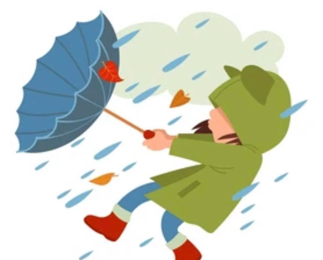 Due to expected rain and high winds, the Book Swap will not be open tomorrow 12/19. We will be open Saturday 12/20.  We will be closed on 12/26 but open 12/27.