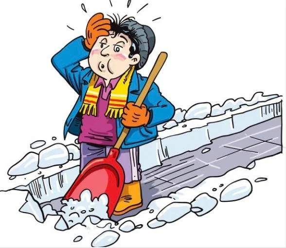 The Book Swap will be closed again this weekend due to the snow and severely cold temperatures. The first weekend in February may also be too cold for our volunteers and too snowy/icy for our guests.