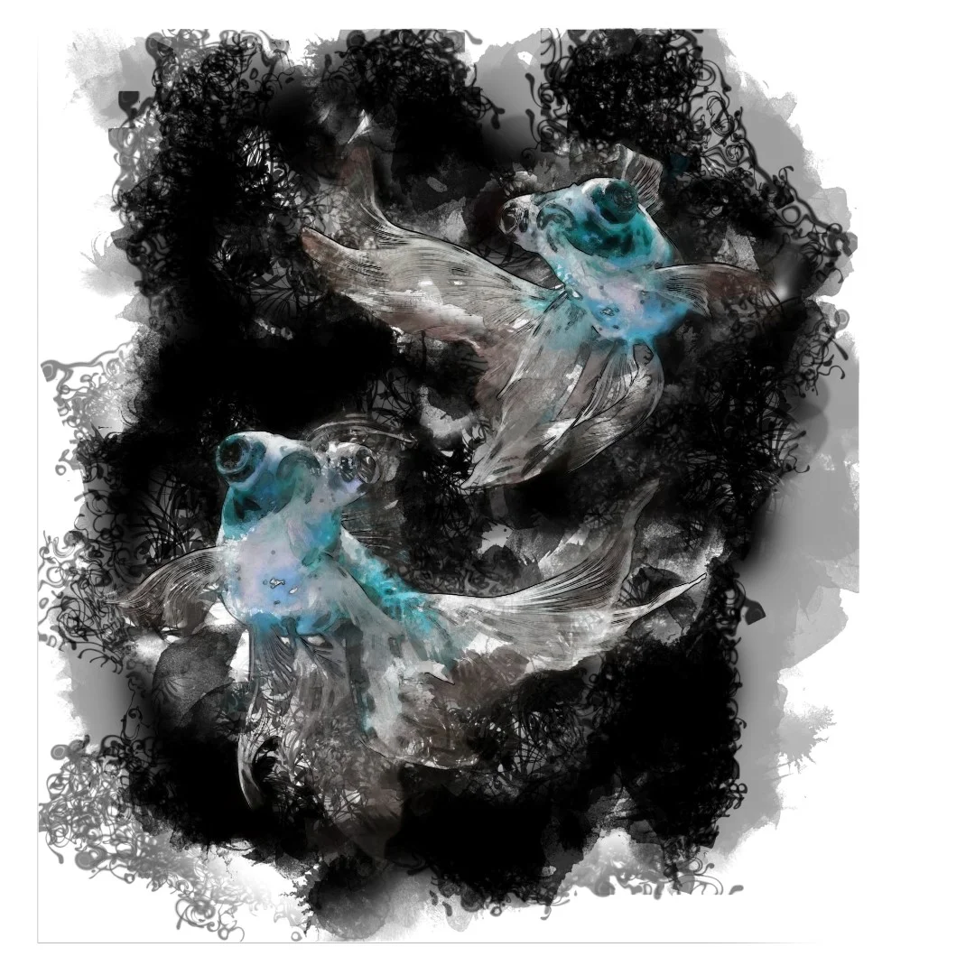 black-fish.jpg