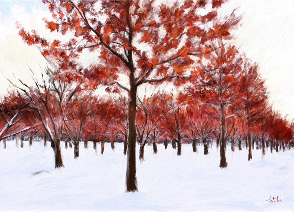 red+trees+in+snow+for+web.jpg