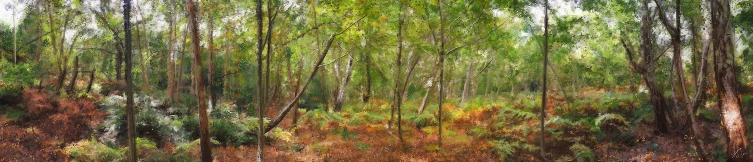 Wimbledon common-october.jpg.jpg