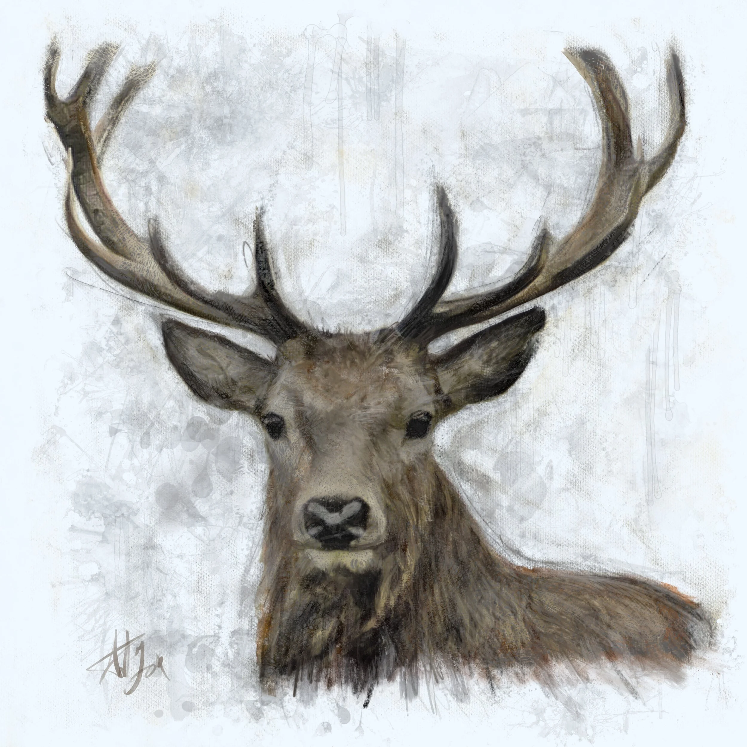 Stag 