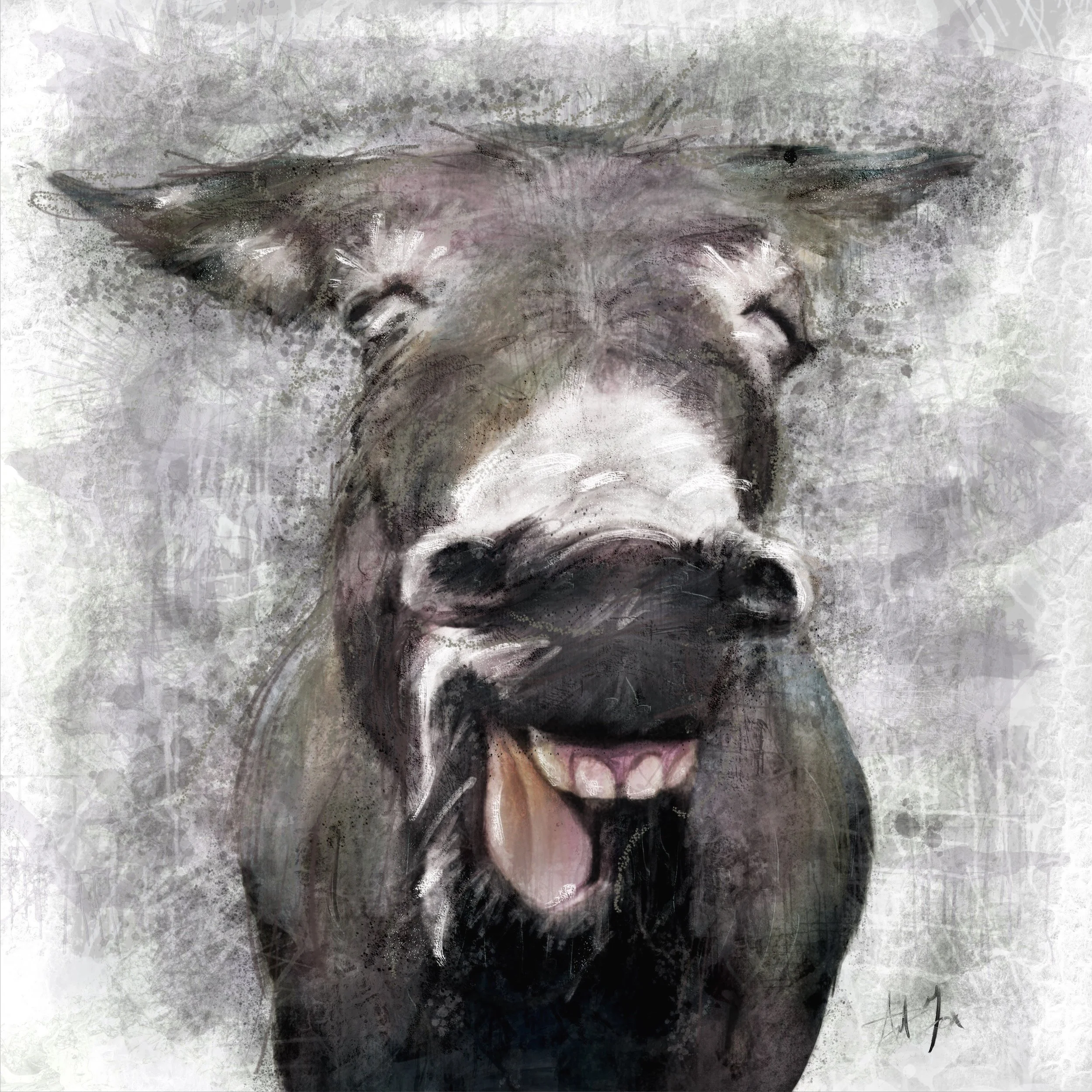 donkey.JPG