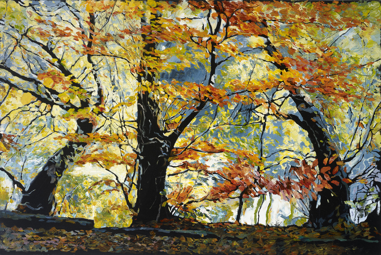 Black Park.jpg