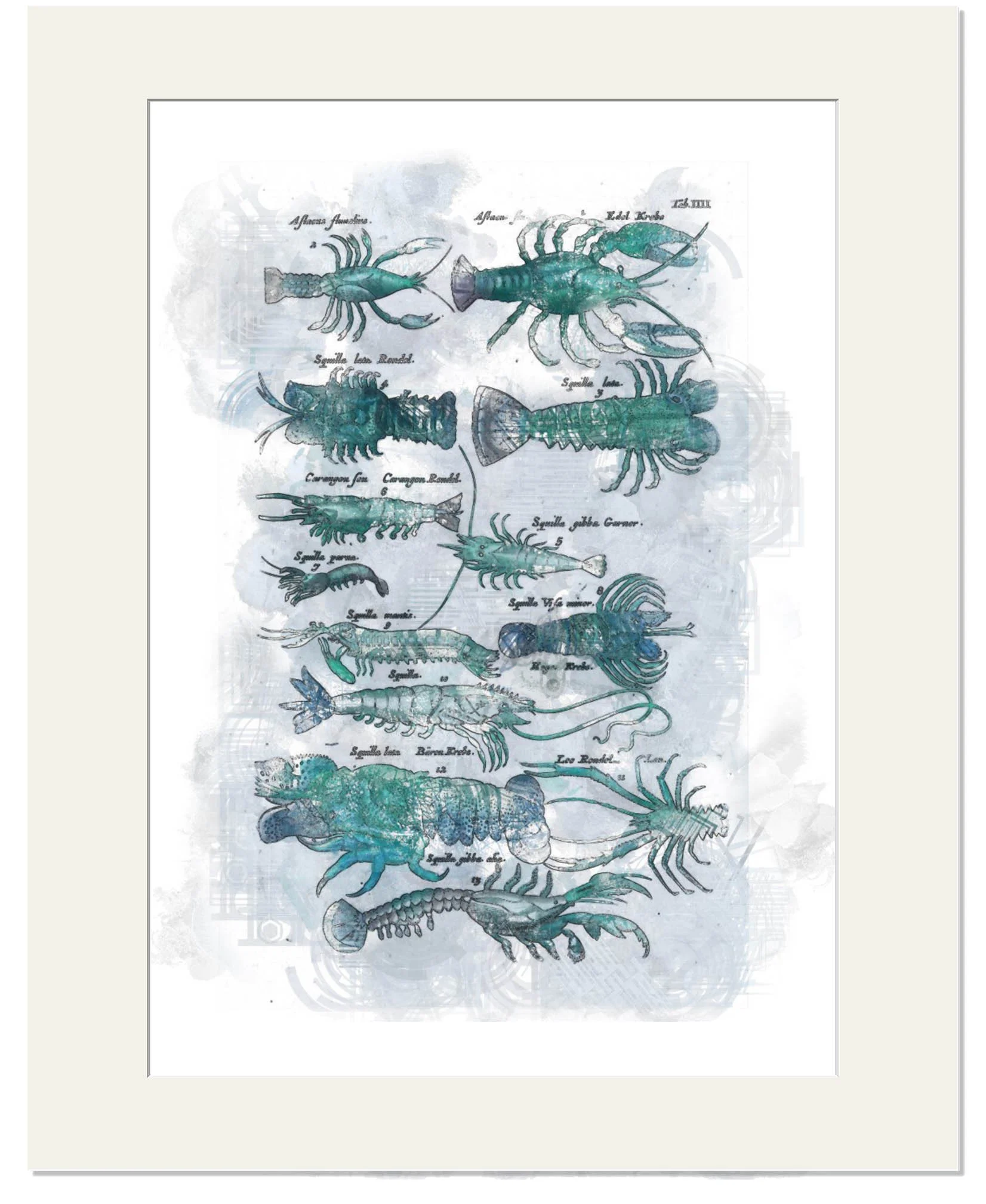 Window Mounted Crustaceans (30cm x 40cm)