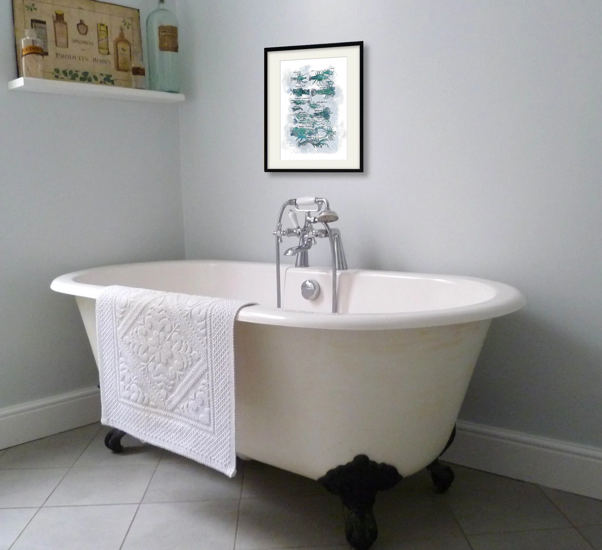 Crustaceans paper print framed on a wall