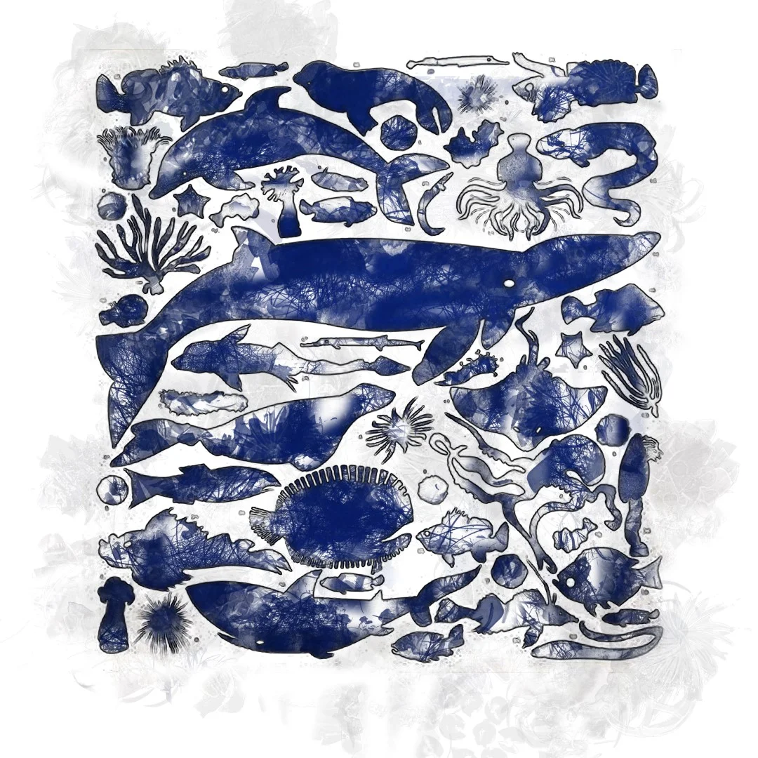 Creatures of the Sea @ ANTFOX