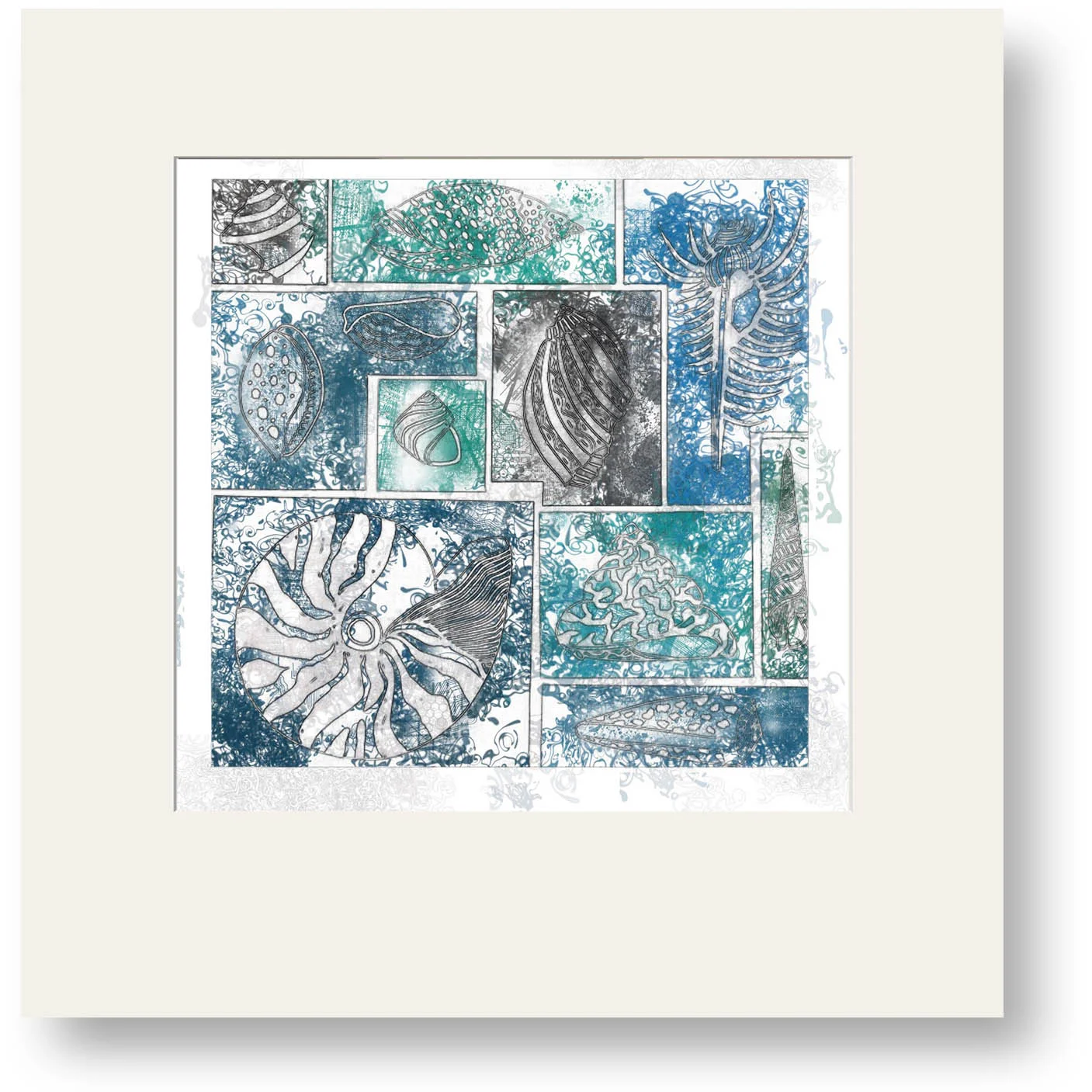 Window Mounted Molluscs (30cm x 30cm)