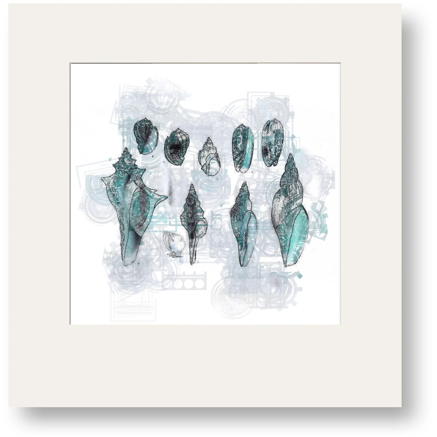 Window Mounted Shells (30cm x 30cm)