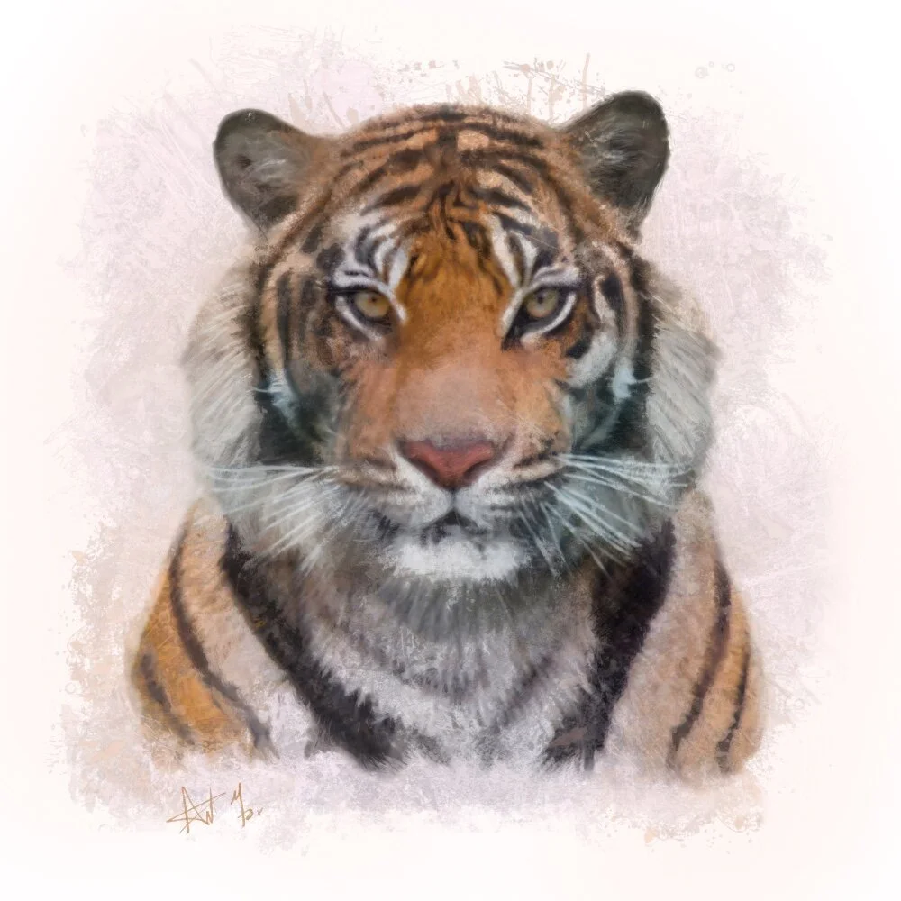 tiger for web.jpeg