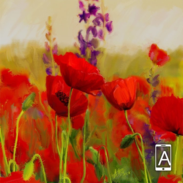 Poppies