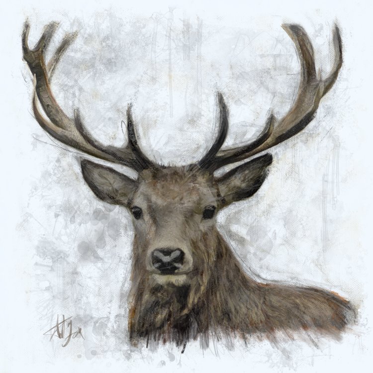 Stag