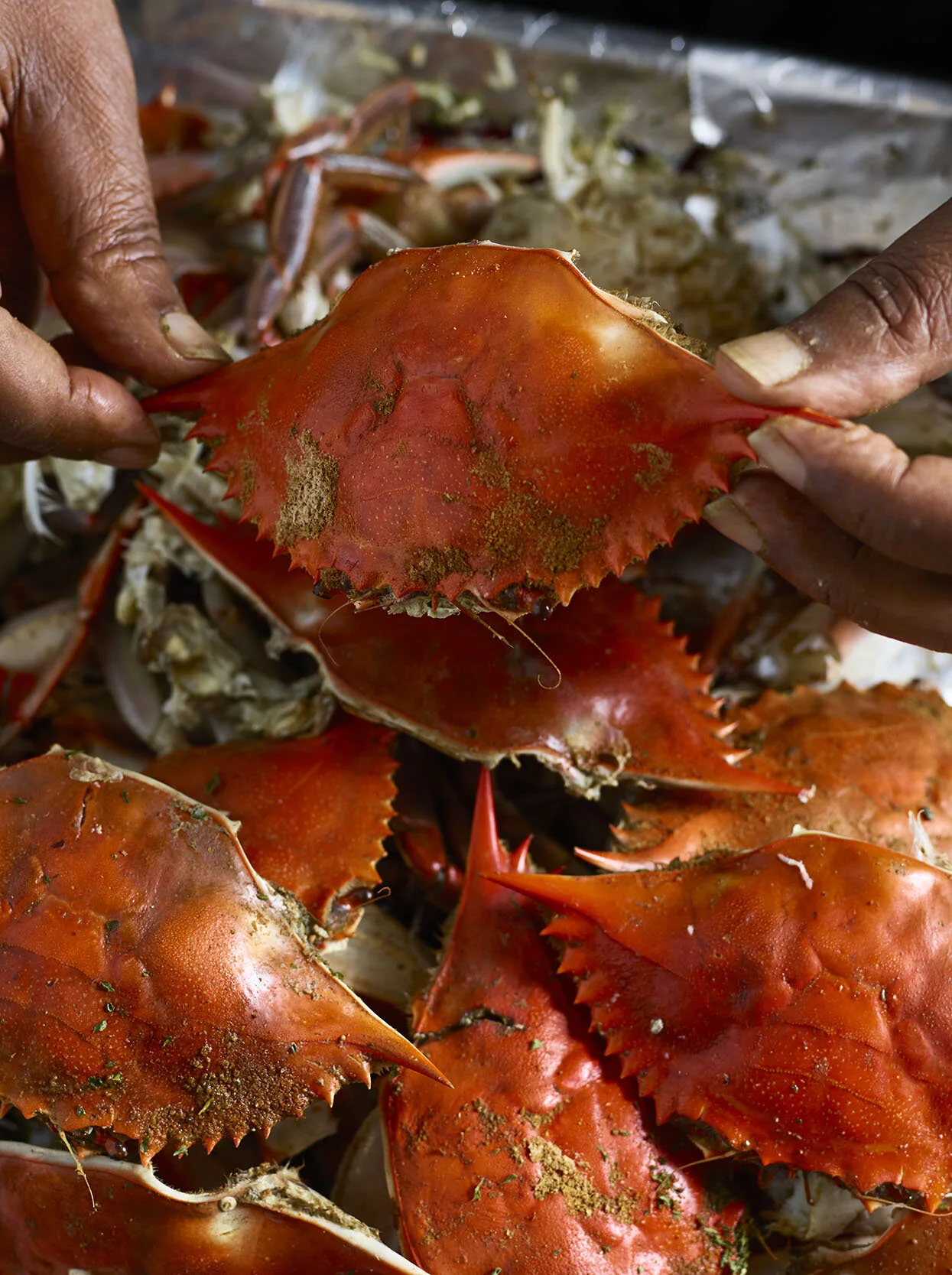 Recent Work for Our State Magazine