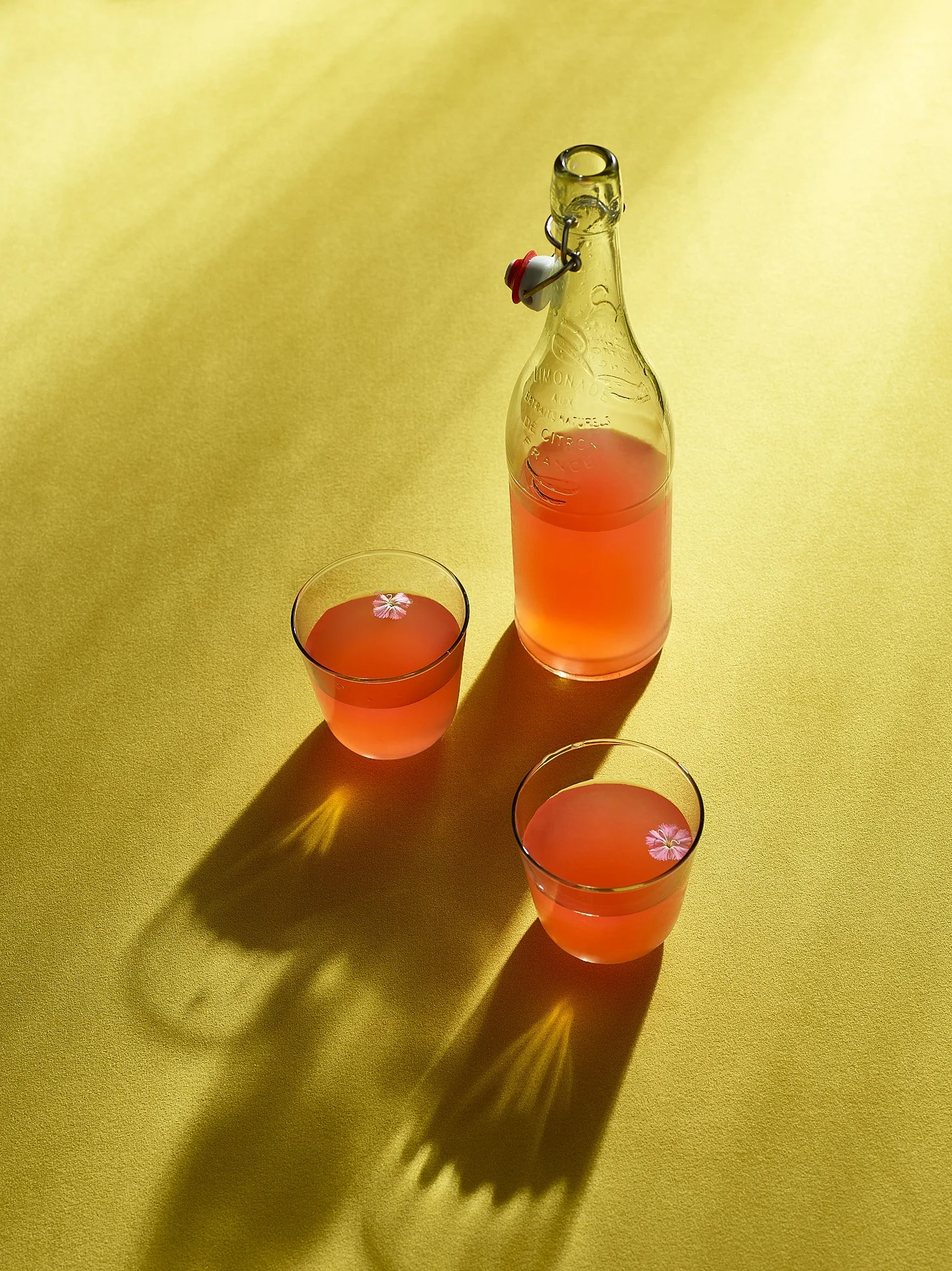 Portfolio 202671736.jpg