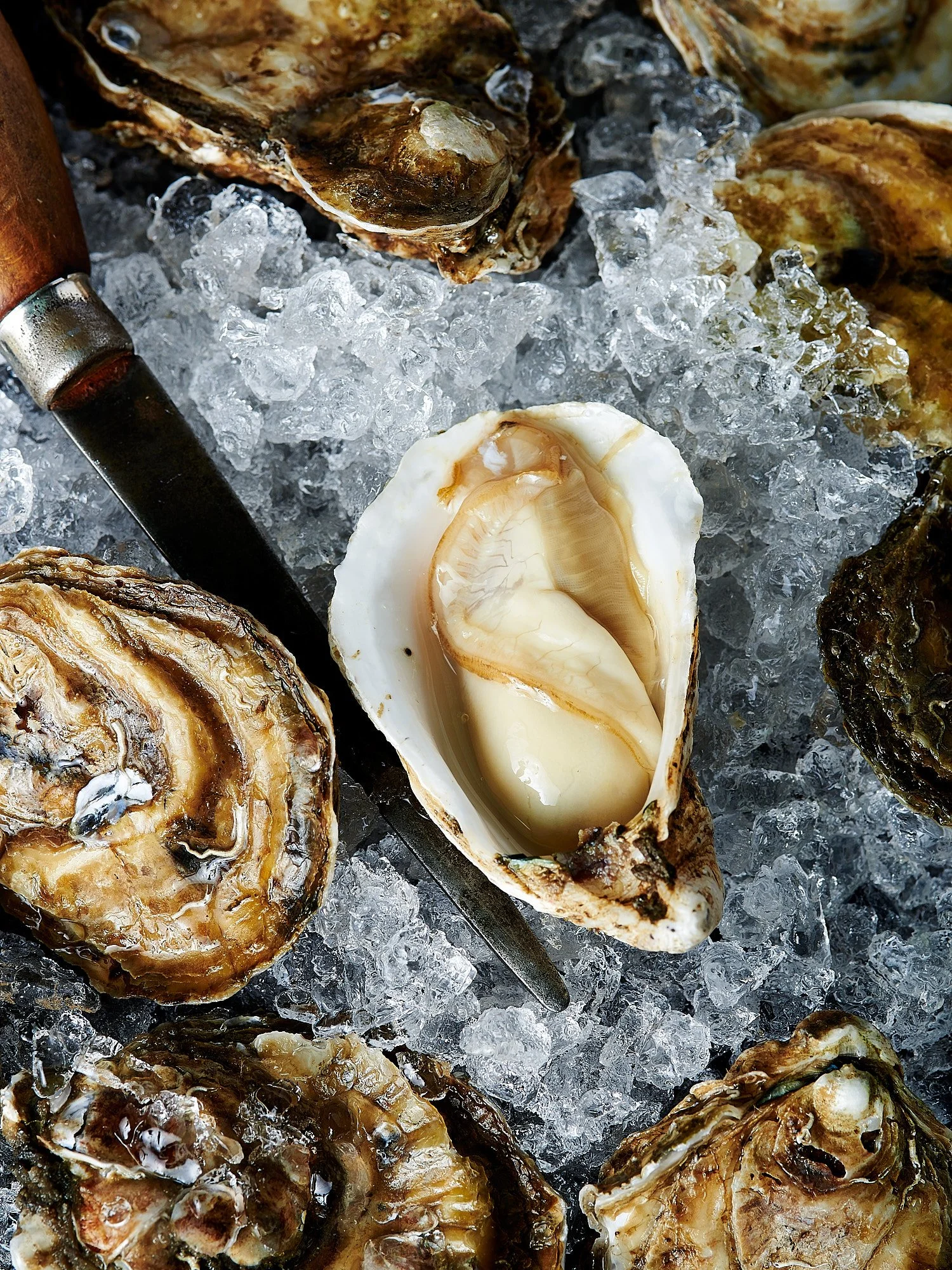 Food and beverage advertising photography by Dhanraj Emanuel — fresh oysters on crushed ice for restaurant and editorial clients. Commercial food photographer working nationally for agencies and brands.