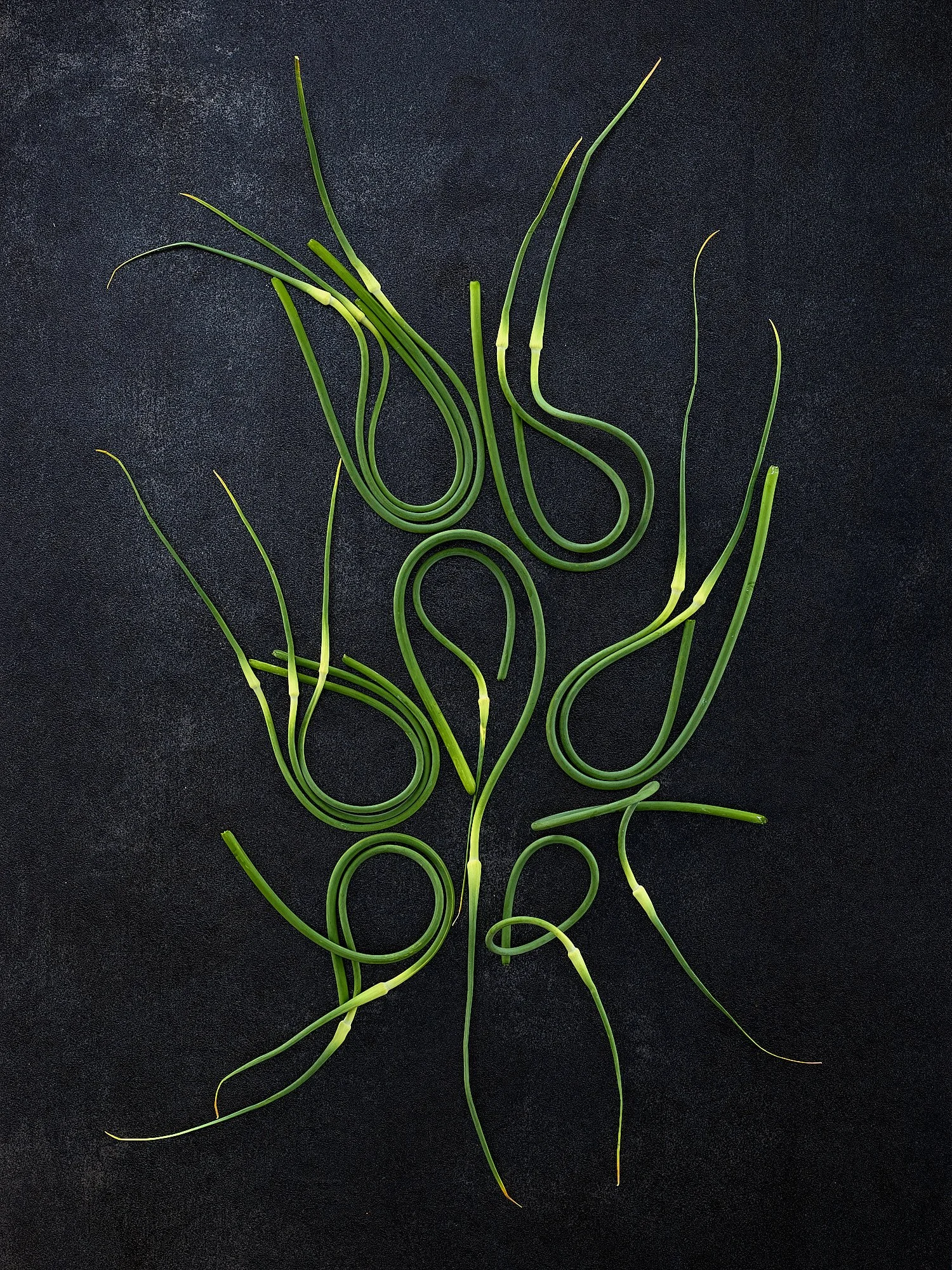 Green onion grass shoots arranged on a dark background.