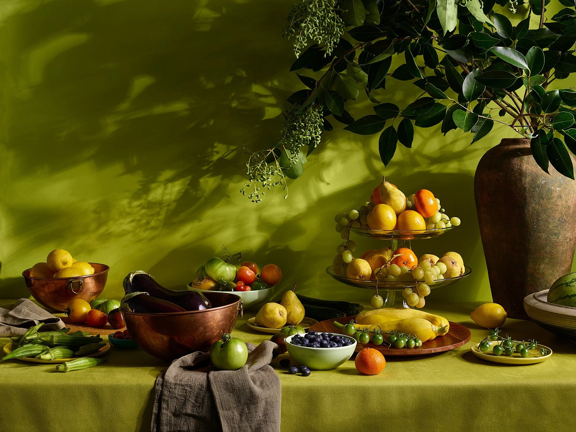 Summer fruit vegetable still life green backdrop farm to table food advertising photography by Dhanraj Emanuel, recognized in Lürzer's Archive 200 Best Advertising Photographers Worldwide