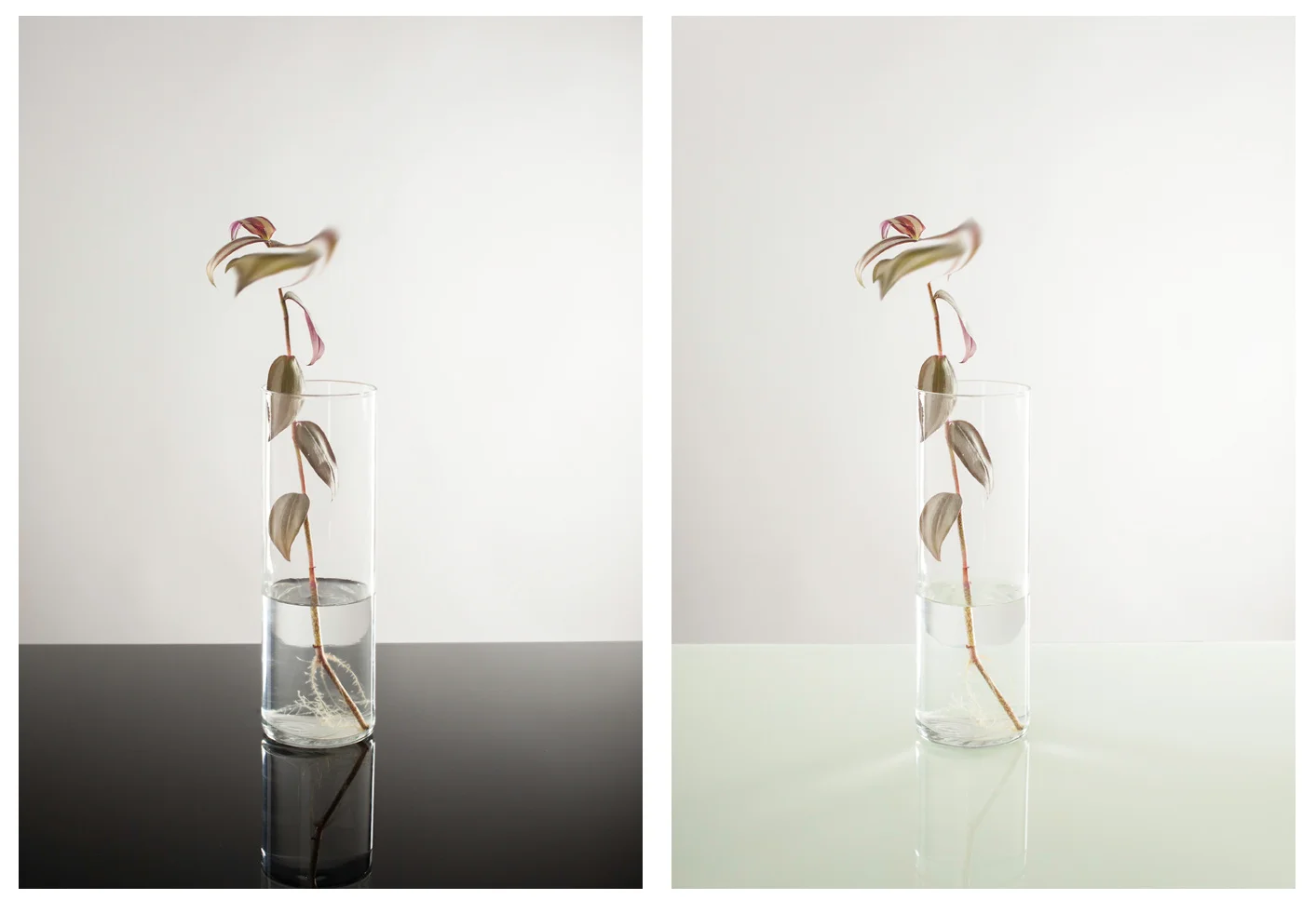 Alex Chitty, untitled (from Codification )