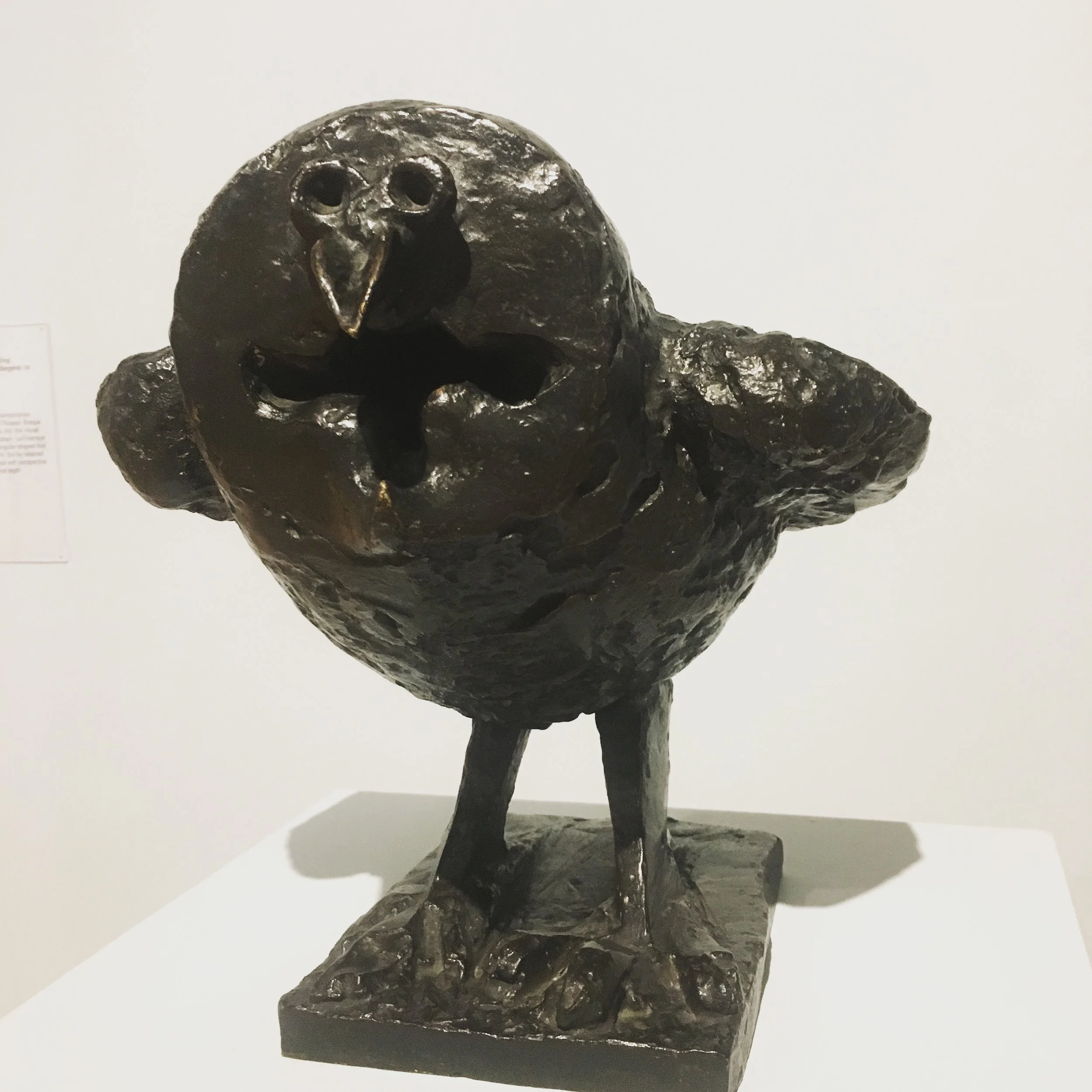 Palm Springs Art Museum