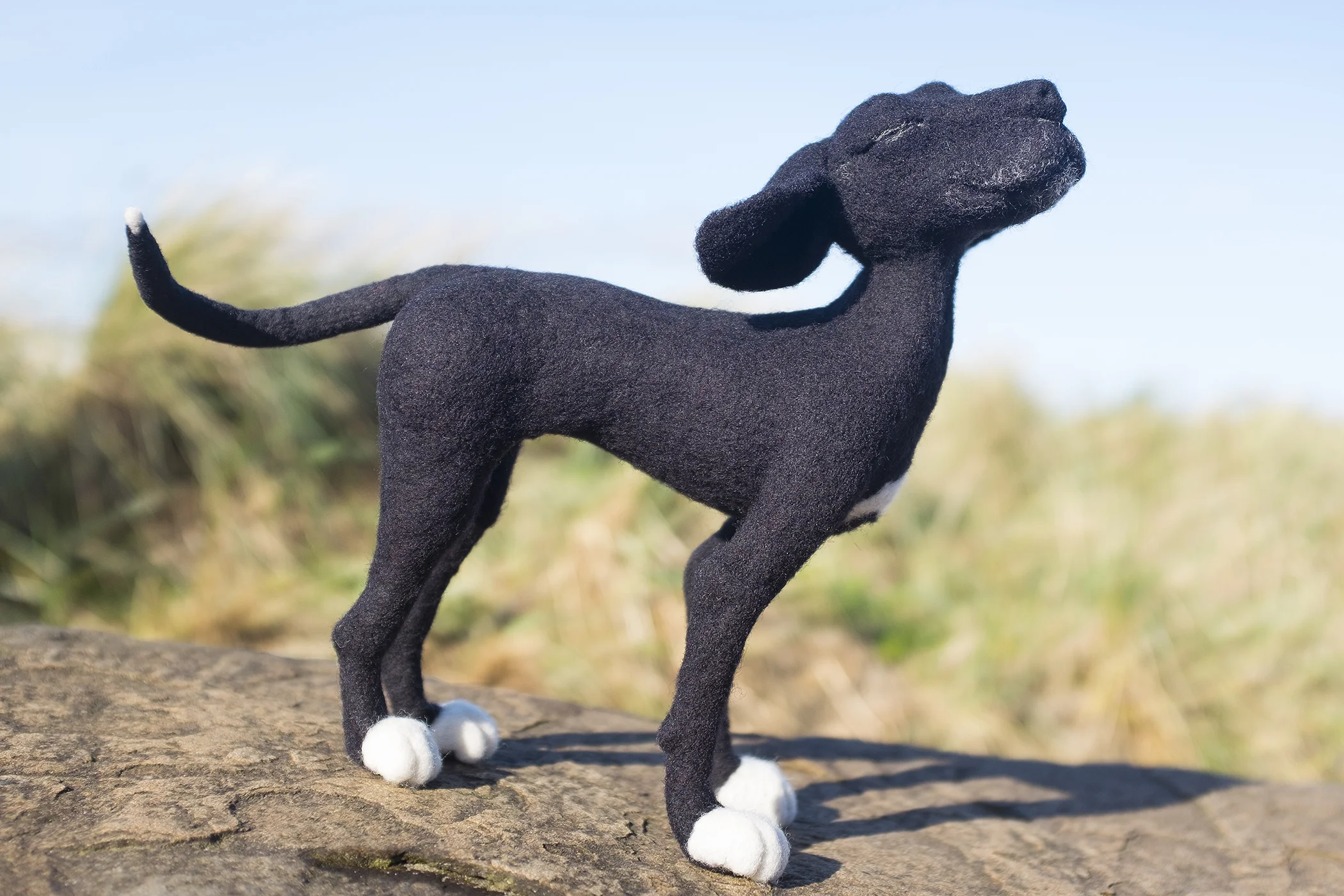 dog1sm.jpg