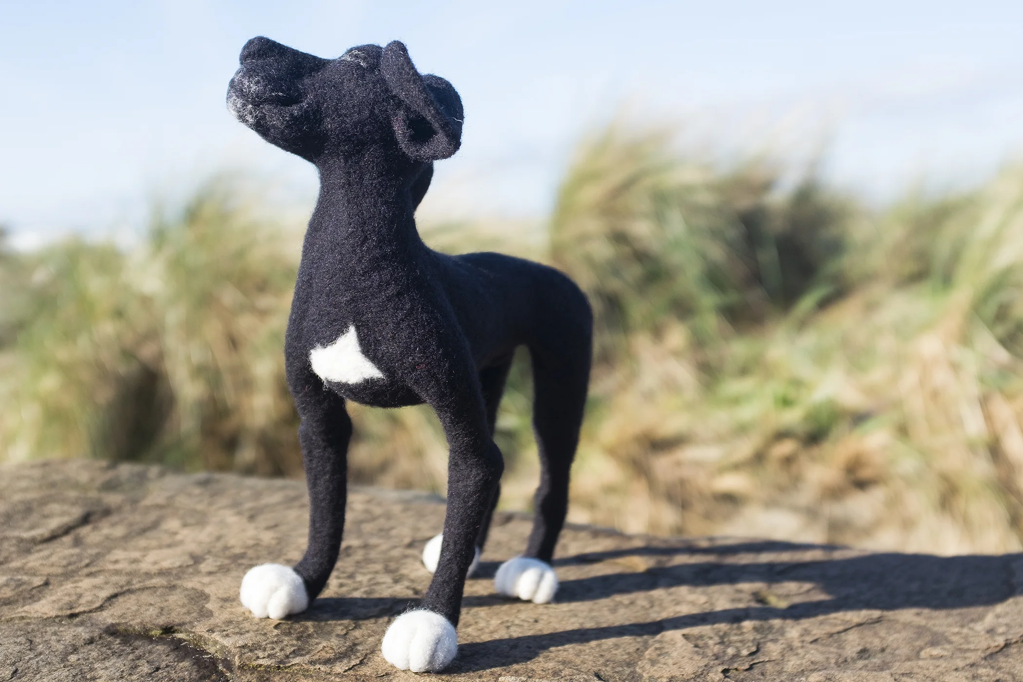 dog2sm.jpg