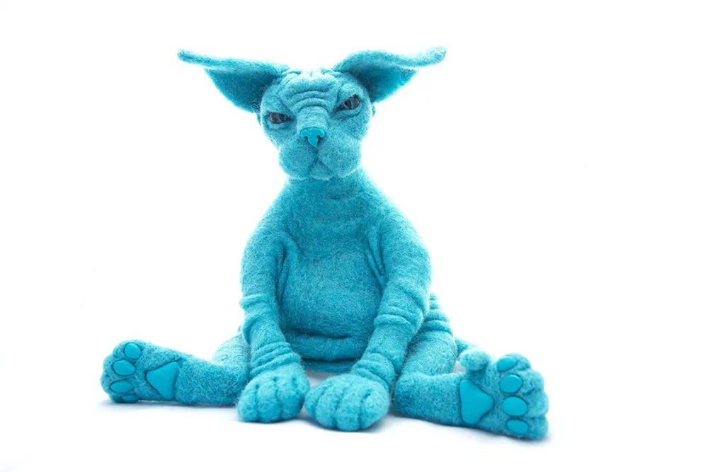 DC5A2208sm.jpg