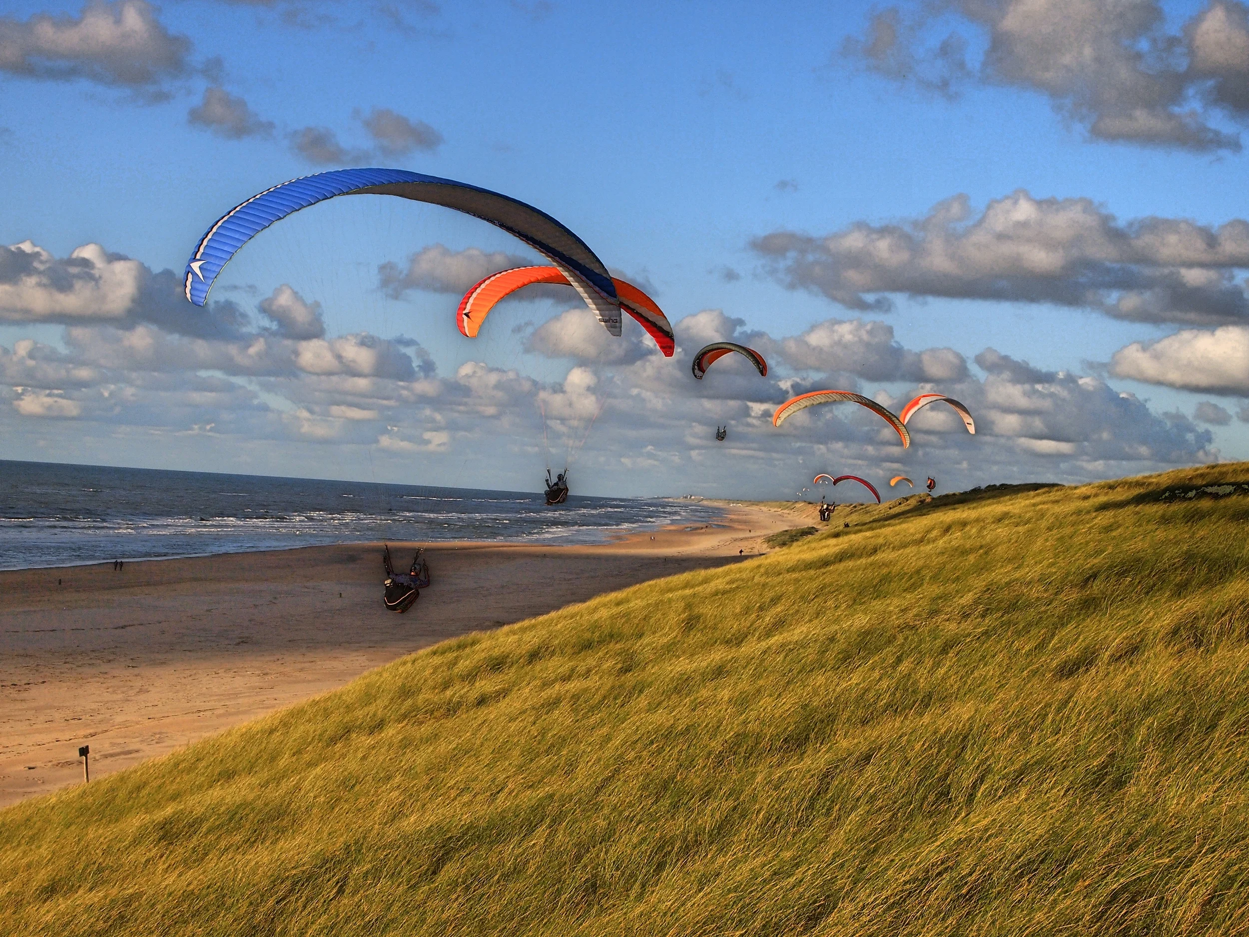 Seaside Flight-3.jpg