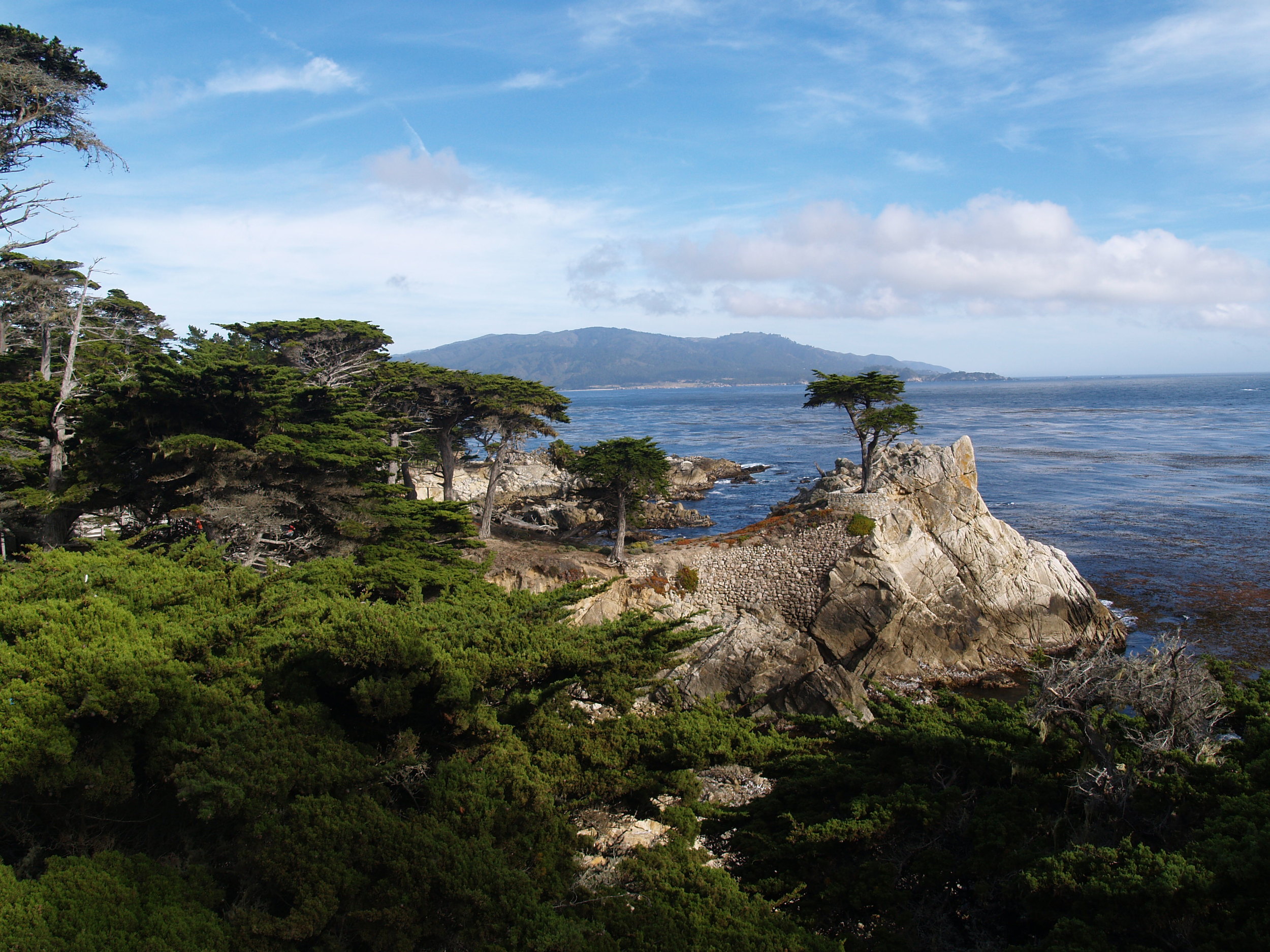 Lone Cypress - 17Mile Drive CA.JPG