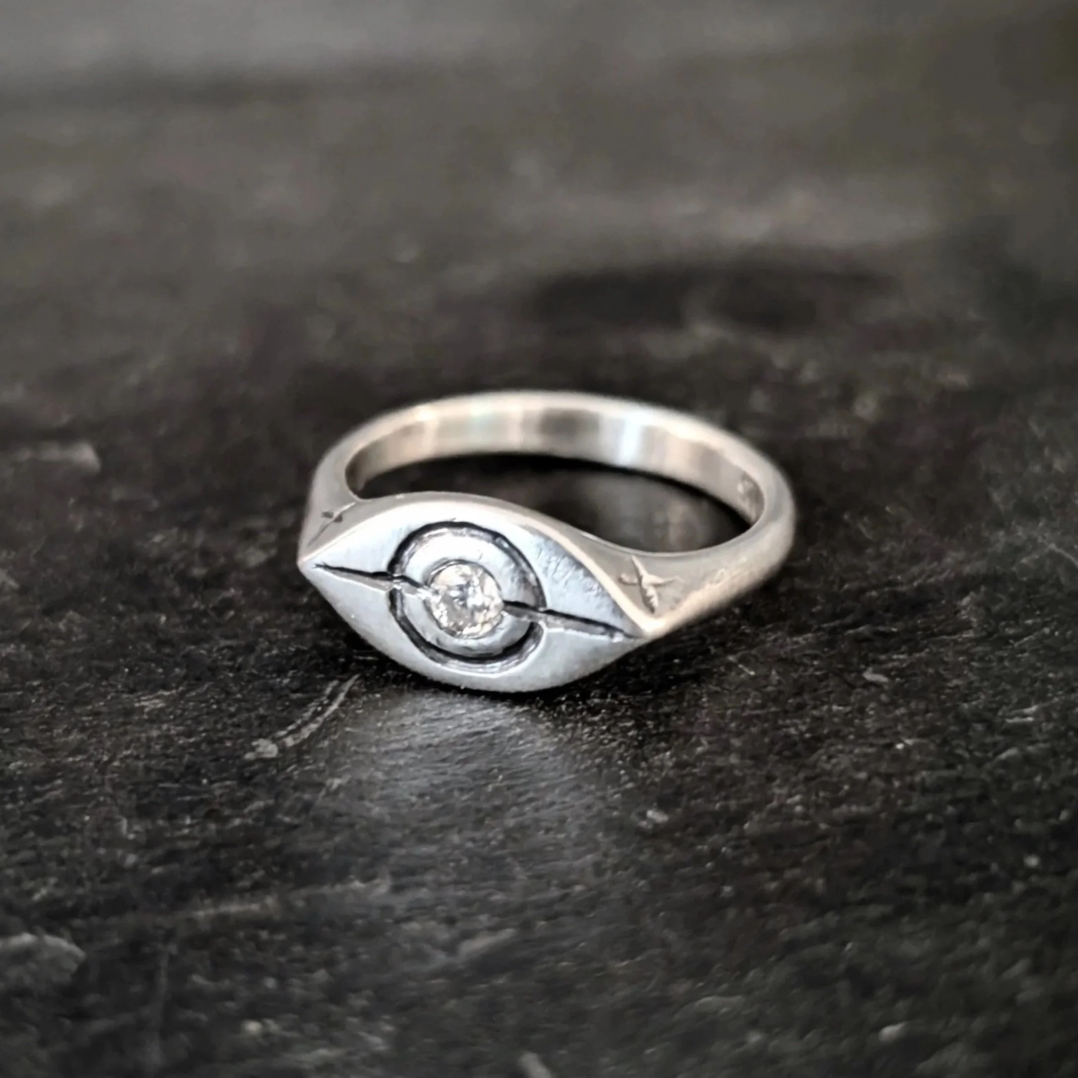 Abolition Ring Fuck ICE Abolish ICE