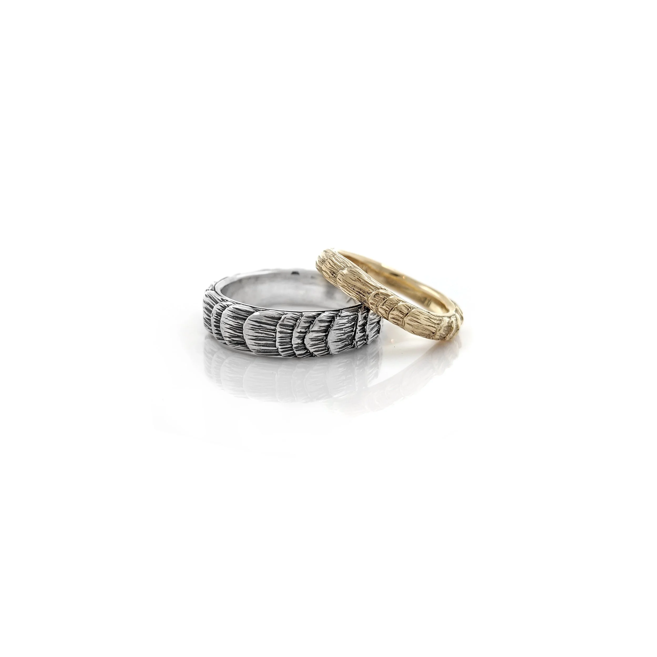Oyster Texture Bands.jpg
