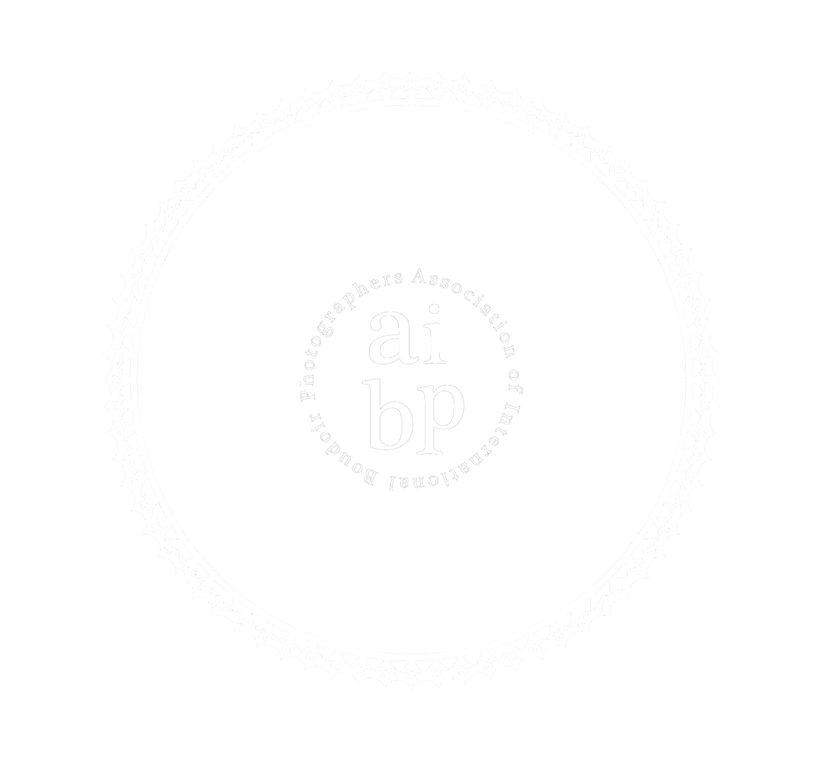 AIBP-2023-Distinguished-Member-White-1.png