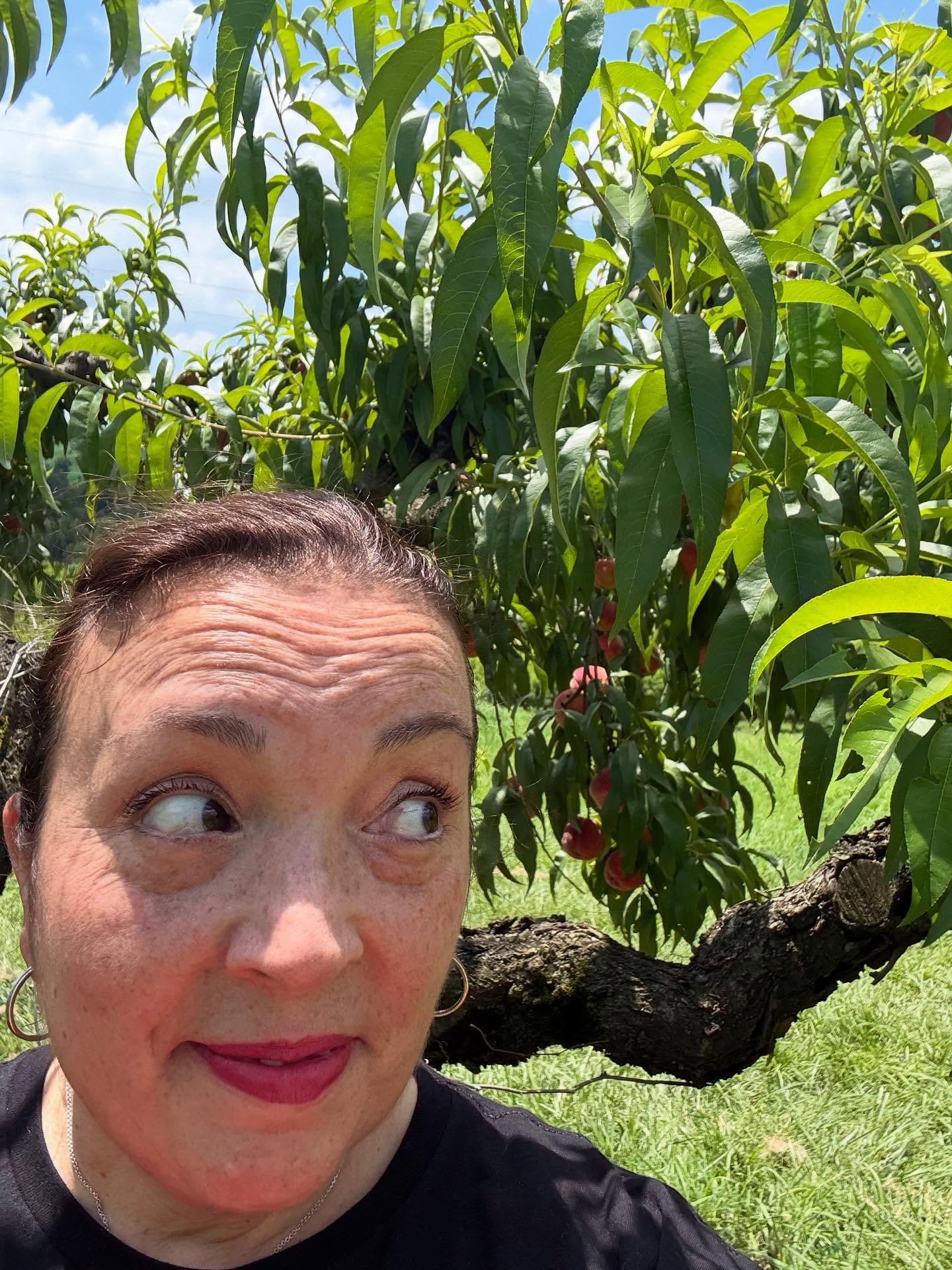 Great 4th weekend. Loaded up the dogs and visited Mary&rsquo;s family in New York. It feels crazy to be this close. Then drove back to PA and enjoyed a local orchard.