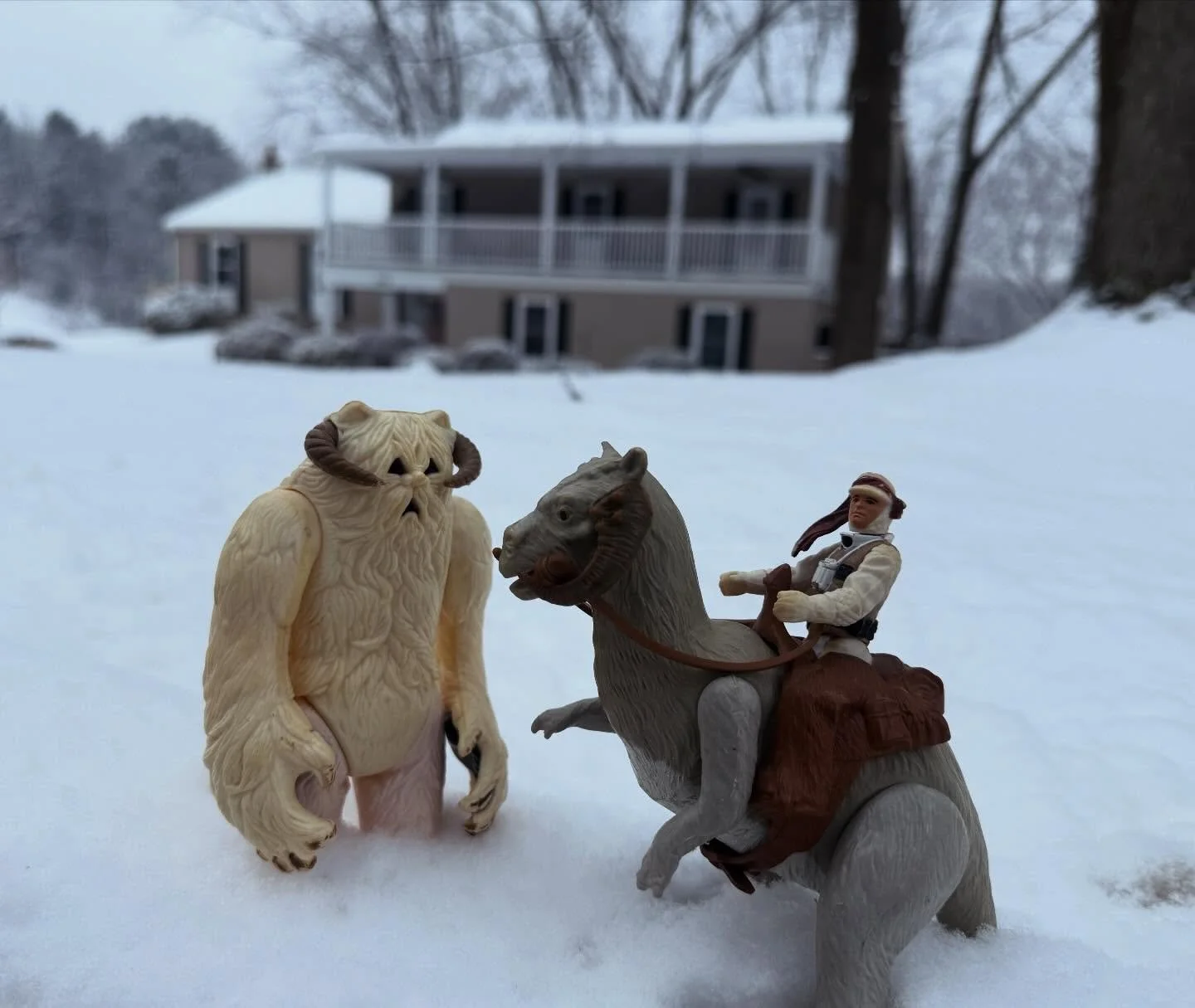 1st winter in PA be like&hellip;