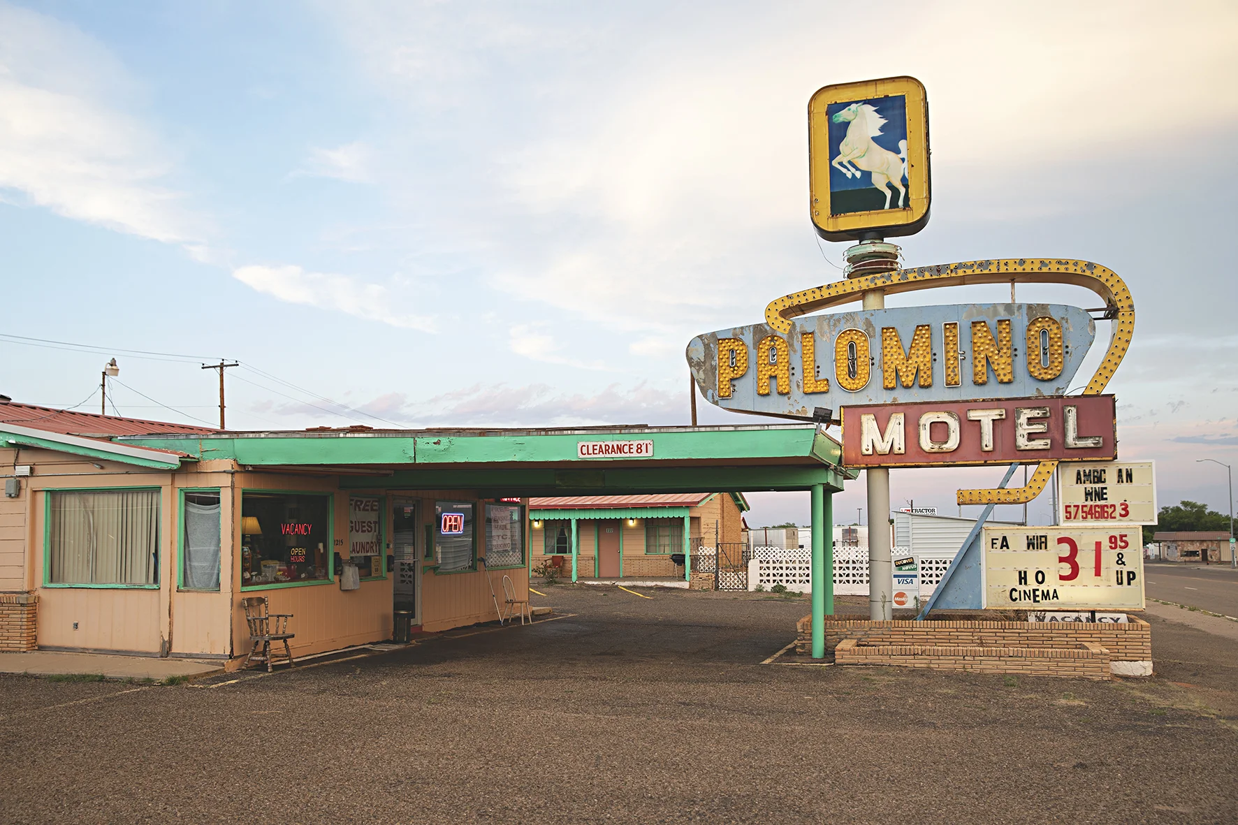 palomino-natalie-jeffcott.jpg