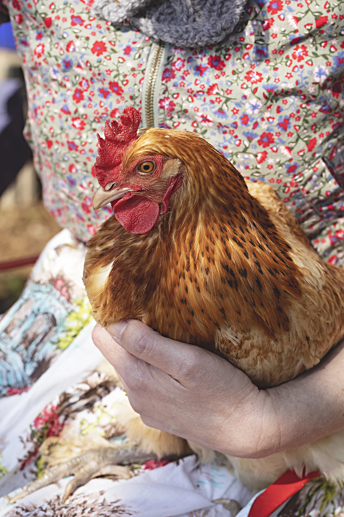 michelle-chicken.jpg