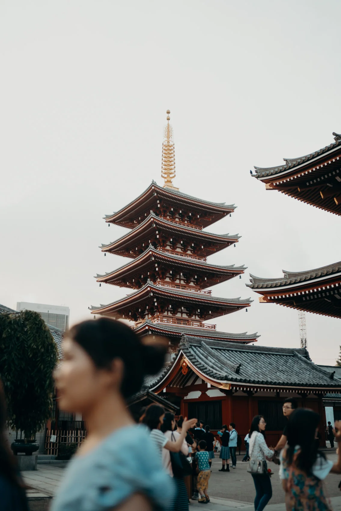 PixlPopr-Japan-10.jpg