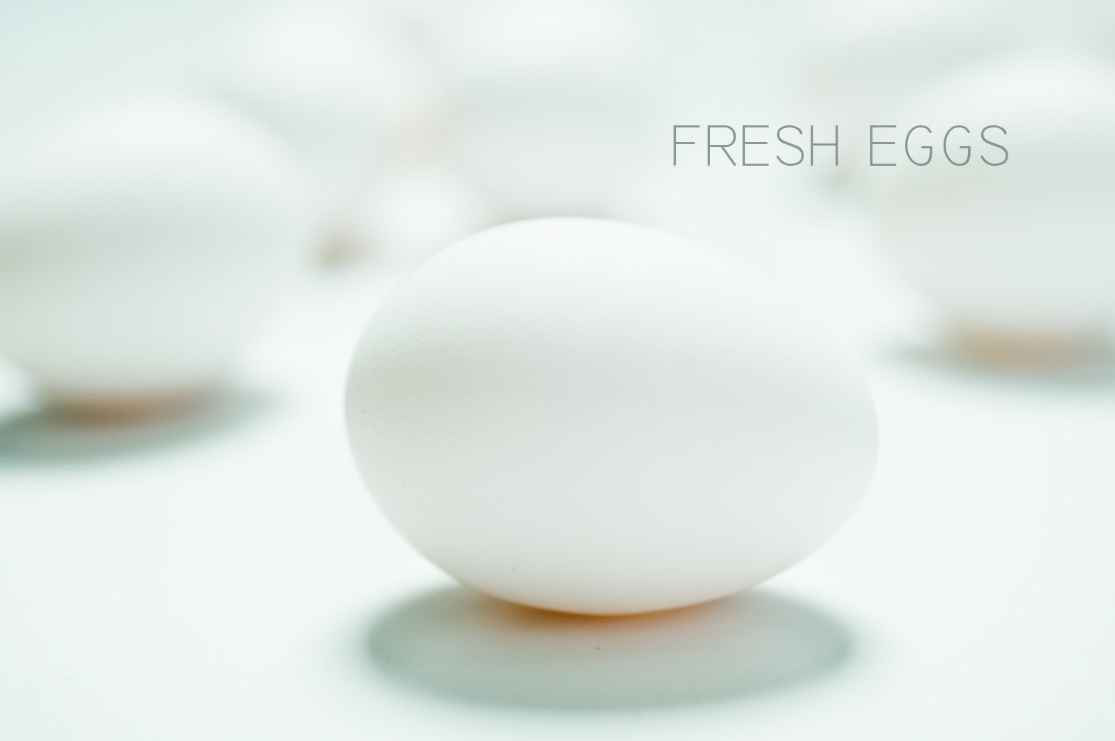 Frozen Custard — Goodberry's Frozen Custard