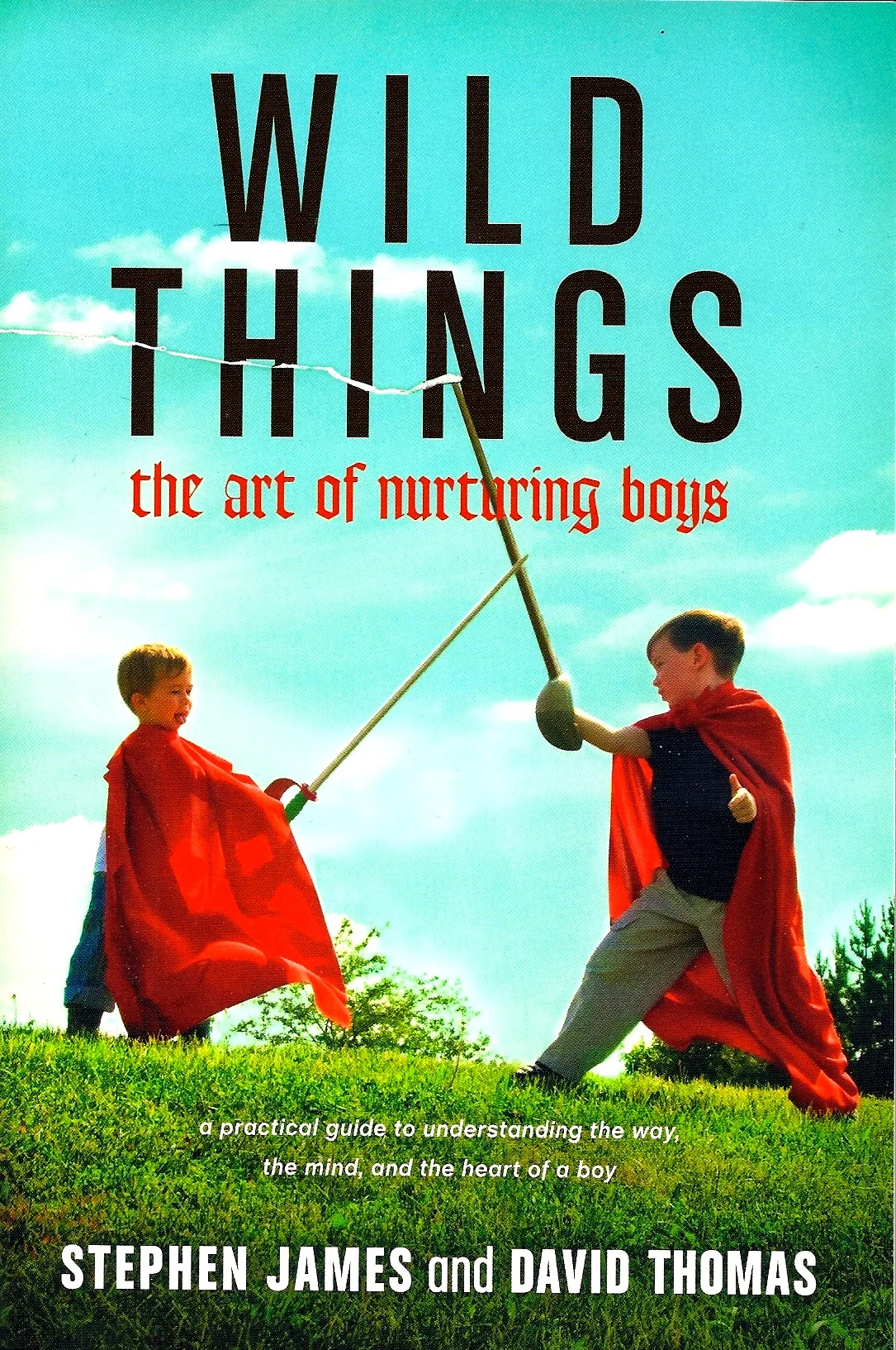 Wild Things cover.jpg