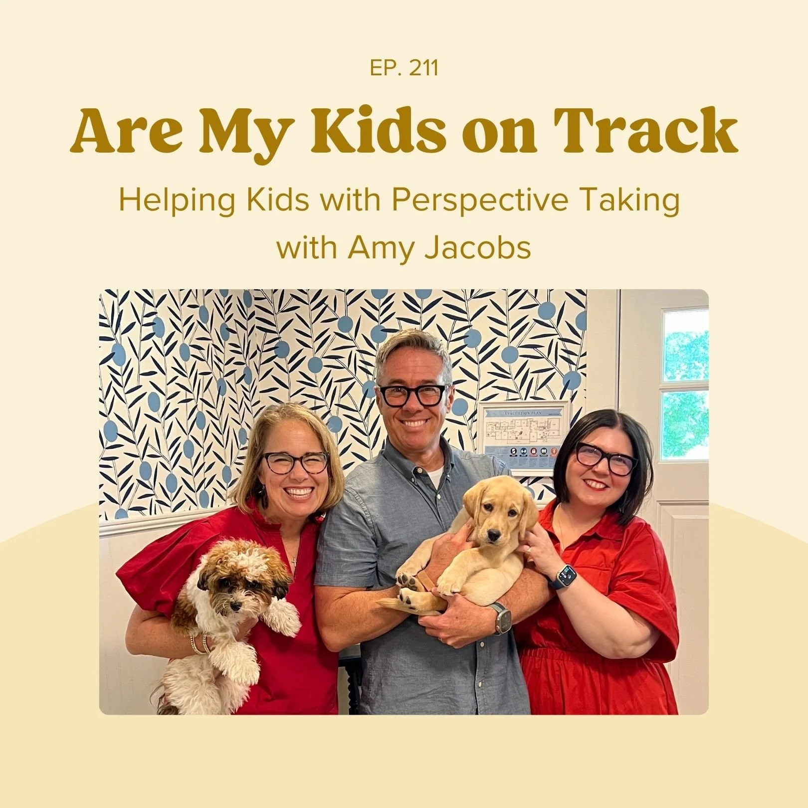 Episode 211: Helping Kids with Perspective Taking with Amy Jacobs