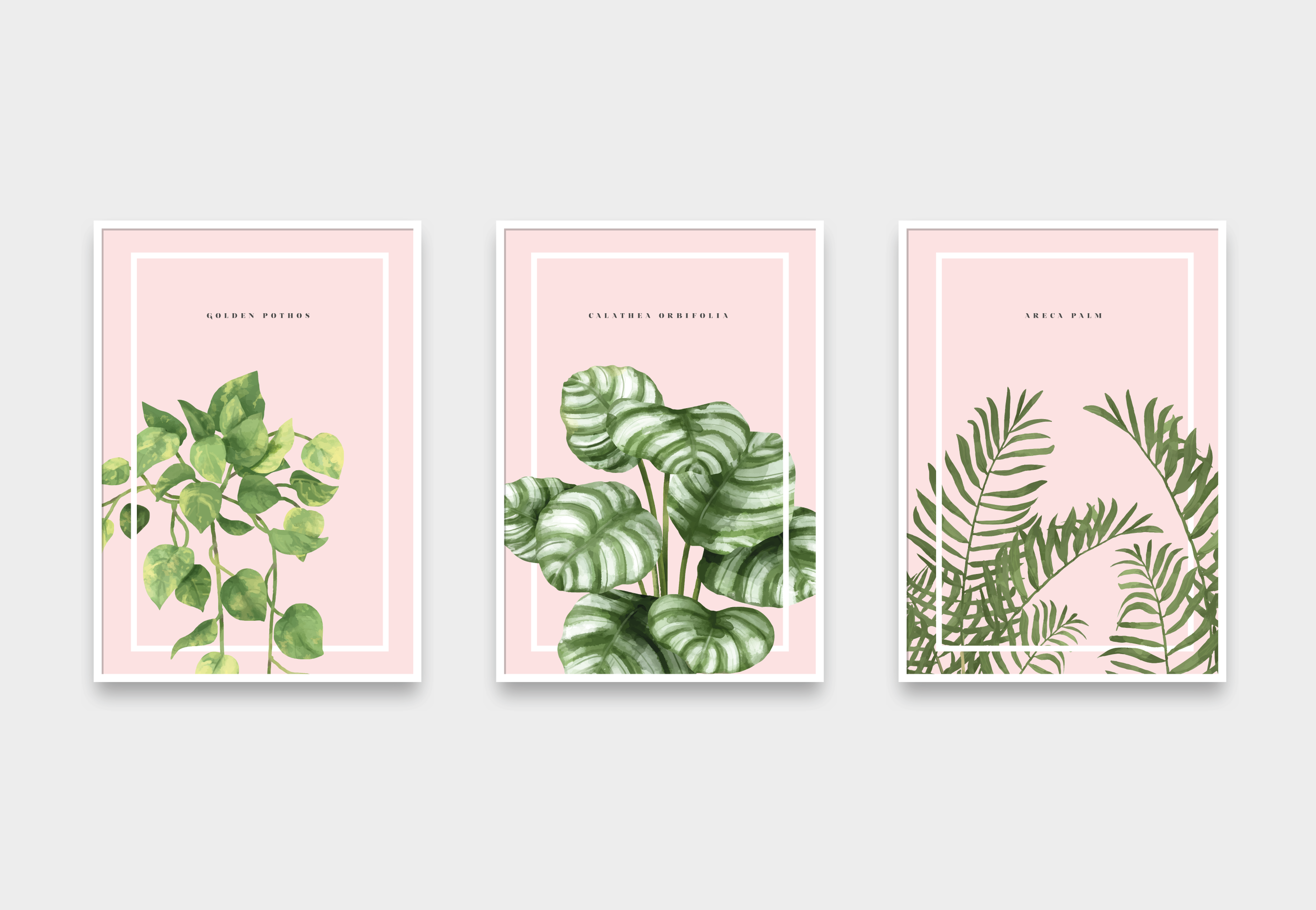 combo_plants.png