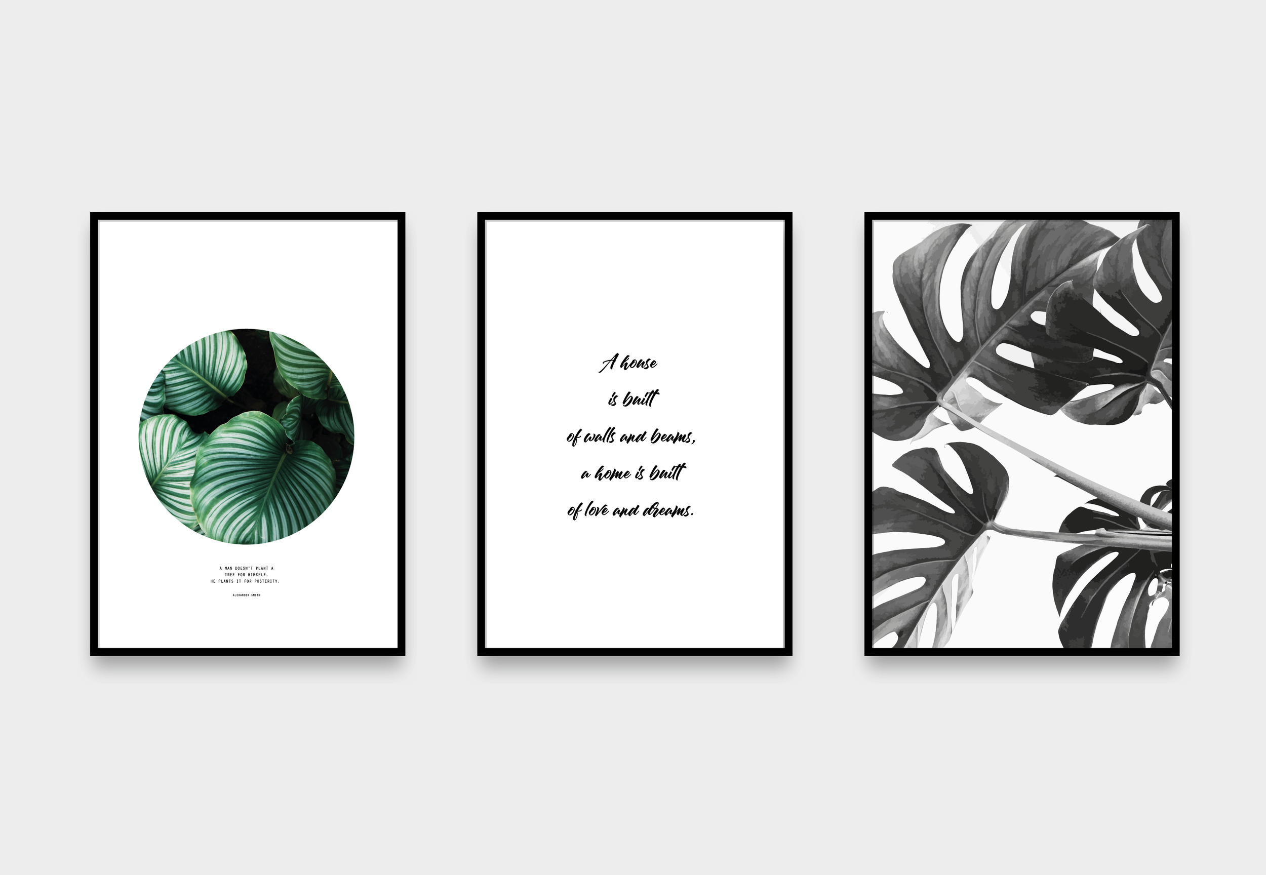 gommashop_afiches_home.png