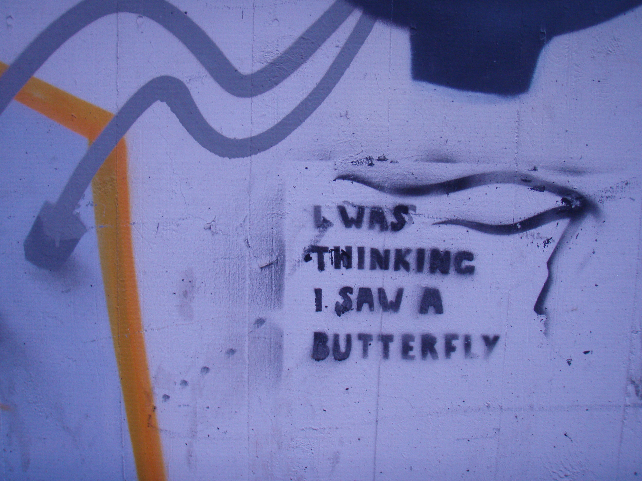 Swiss butterfly grafitti.jpg