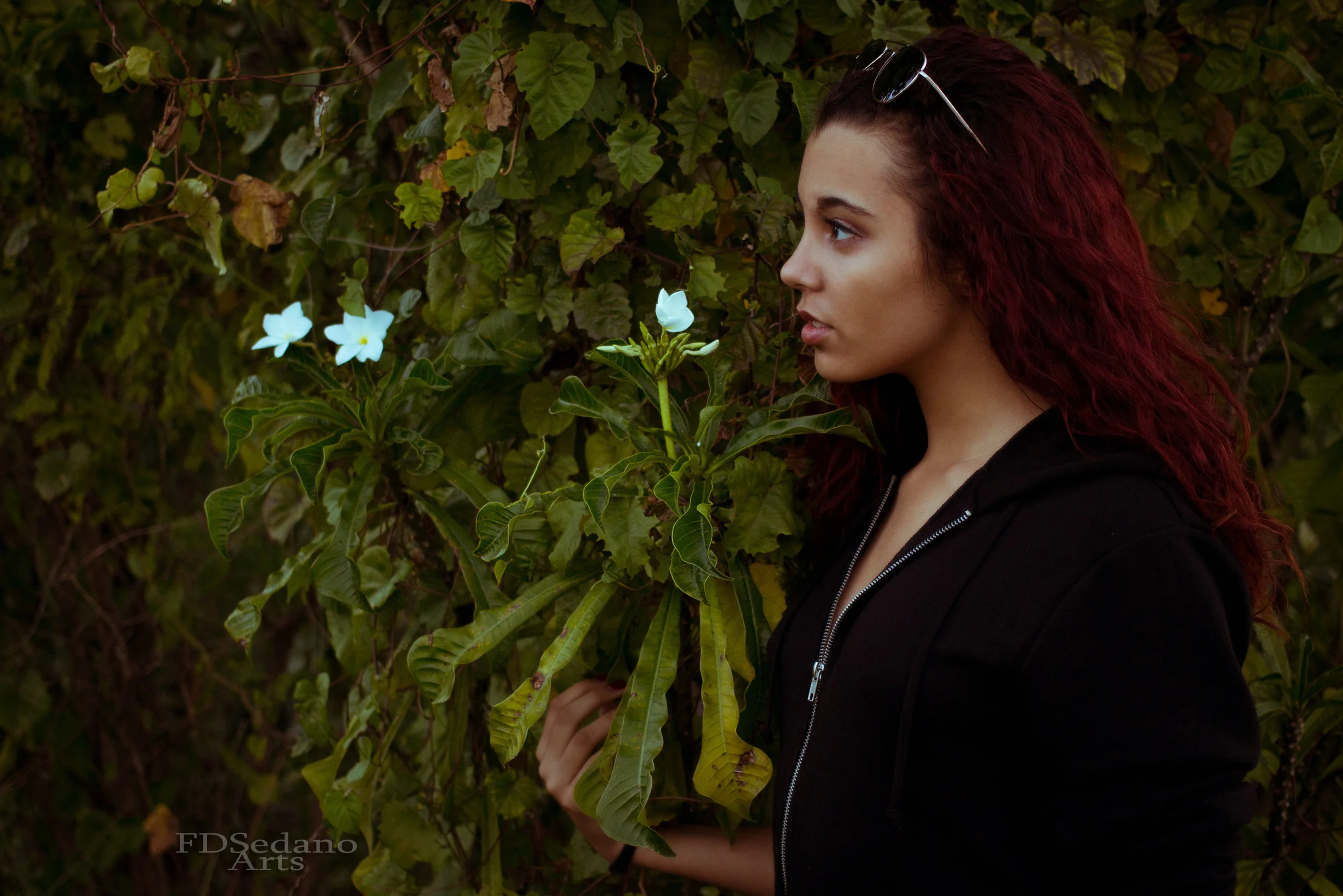 IMG_0101-Edit-Edit.jpg