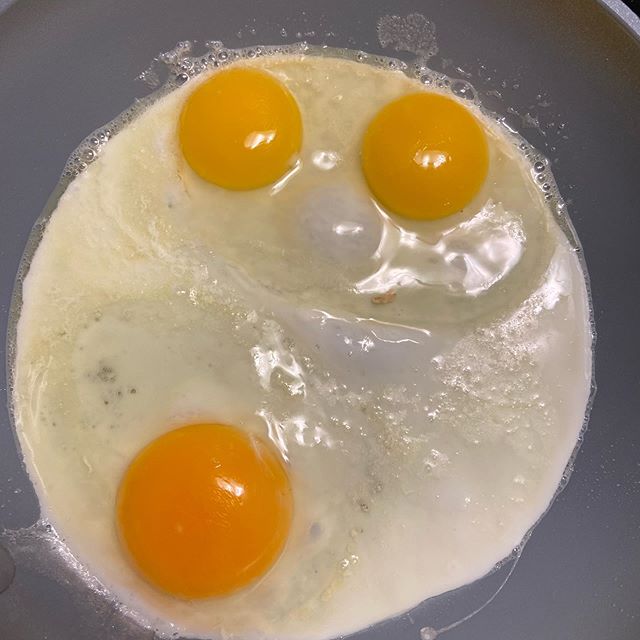 Three days, three double yolks. (Day 2 not pictured bc one broke). This is getting wacky! 🥚🥚🍳🍳#goodluck? #doubleyolk #doubleyolker #eggfaces @nelliesfreerange