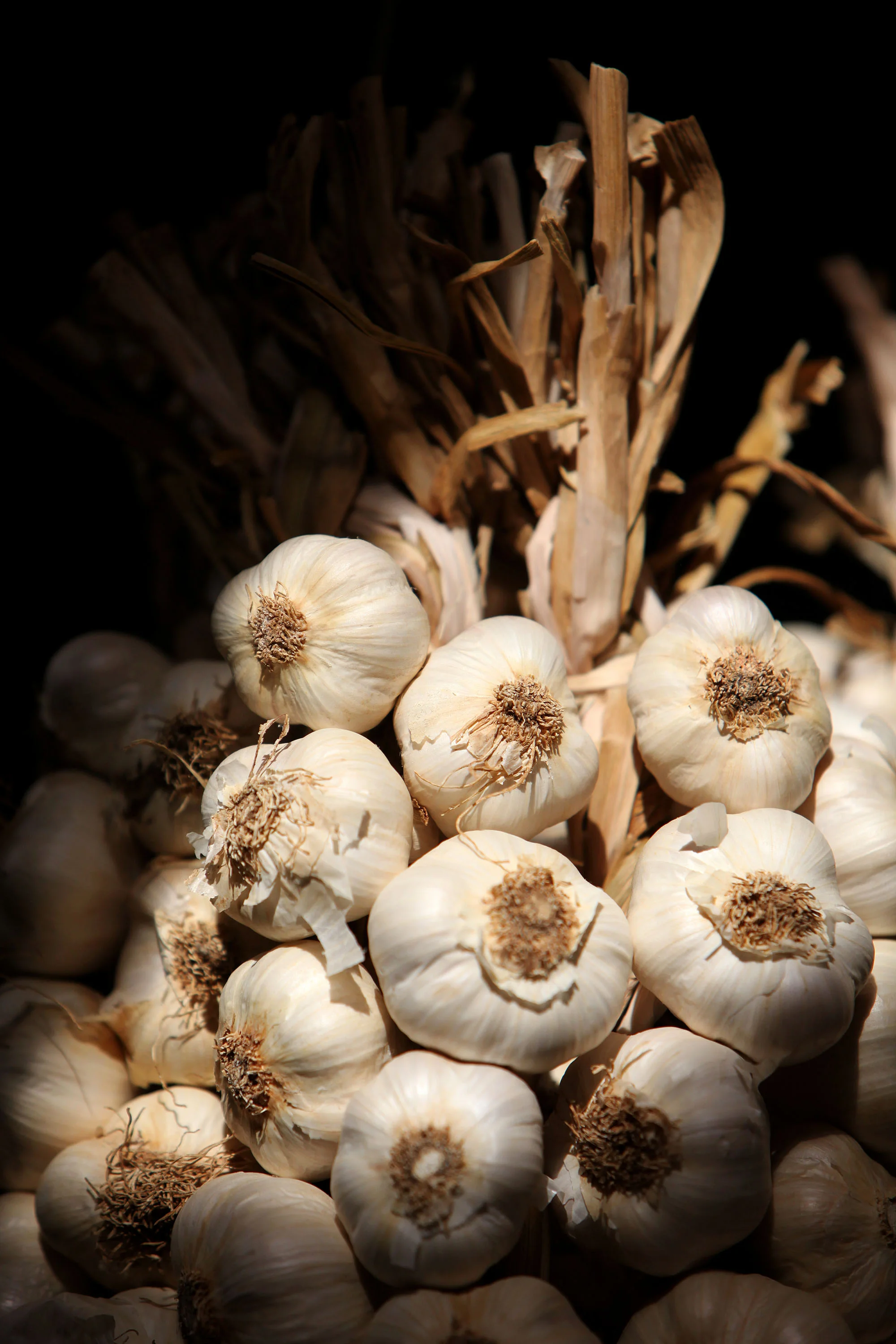 Garlic plaits, The Garlic Farm.