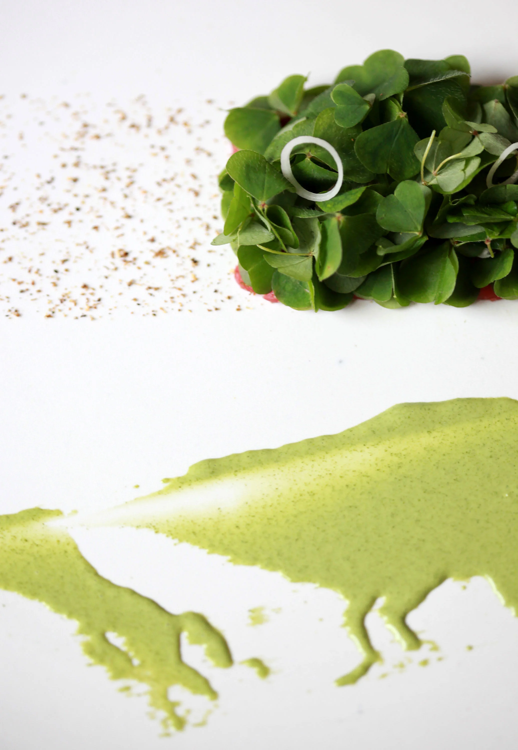 Beef tartare with wood sorrel, Noma.