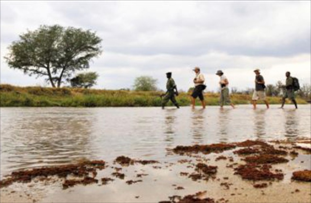 Primal-Pathways-Luangwa-Walking-Safari-River-Crossing.jpg