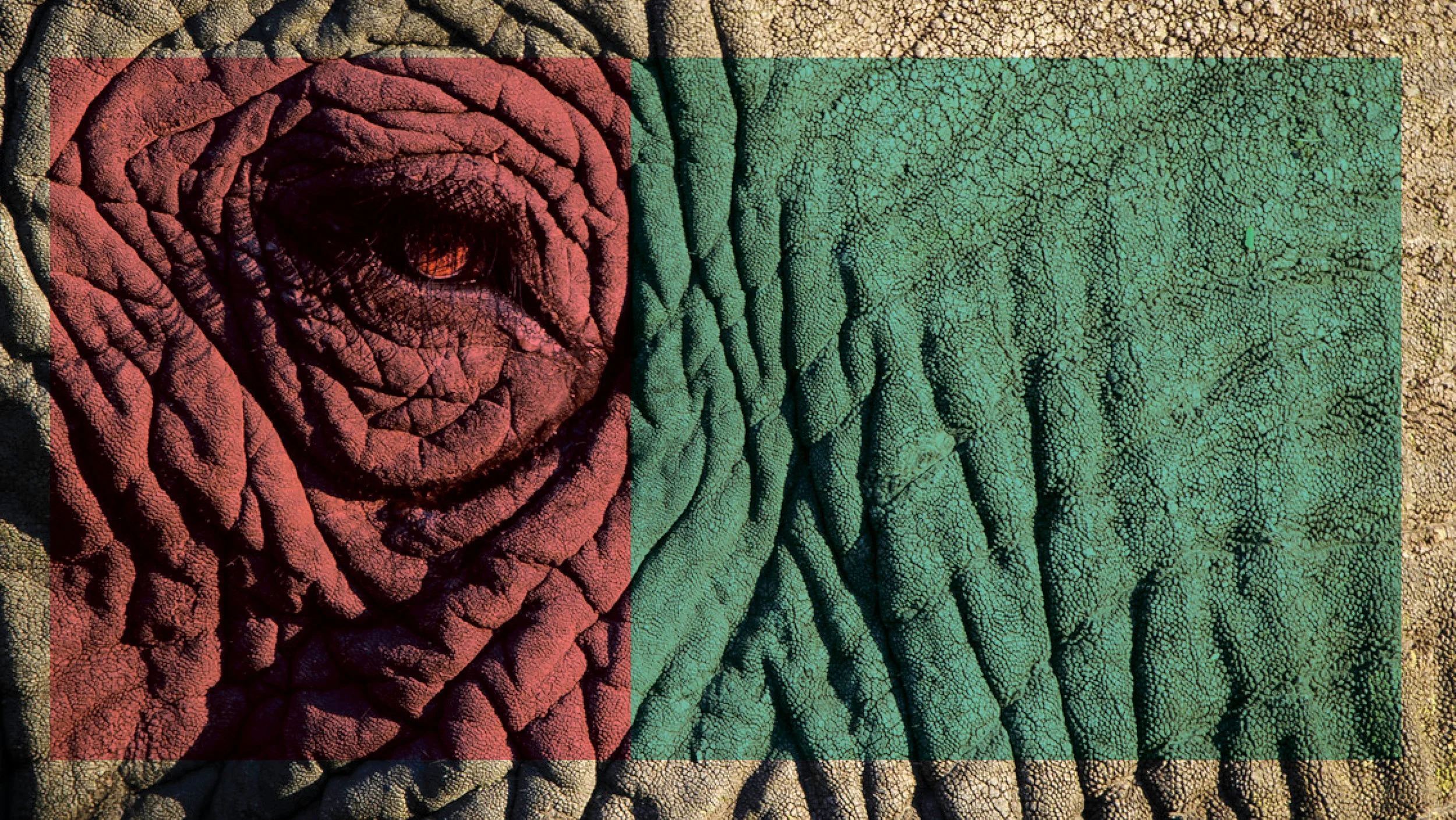 PrimalPathwaysReviews