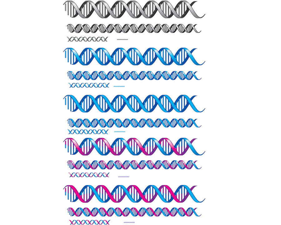 DNA.jpg
